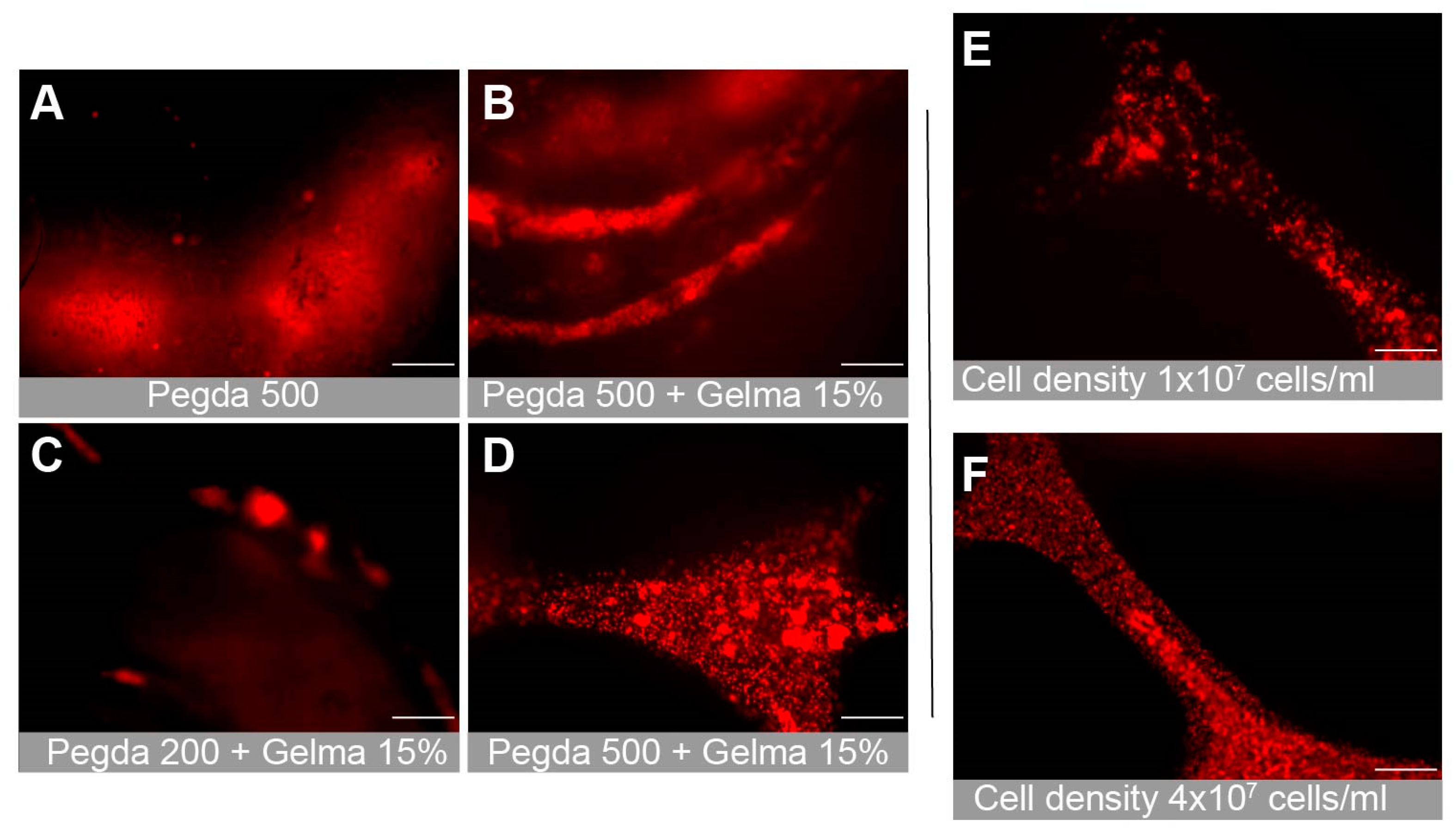 Bioengineering 10 00817 g004 Bioengineering 10 00817 g004