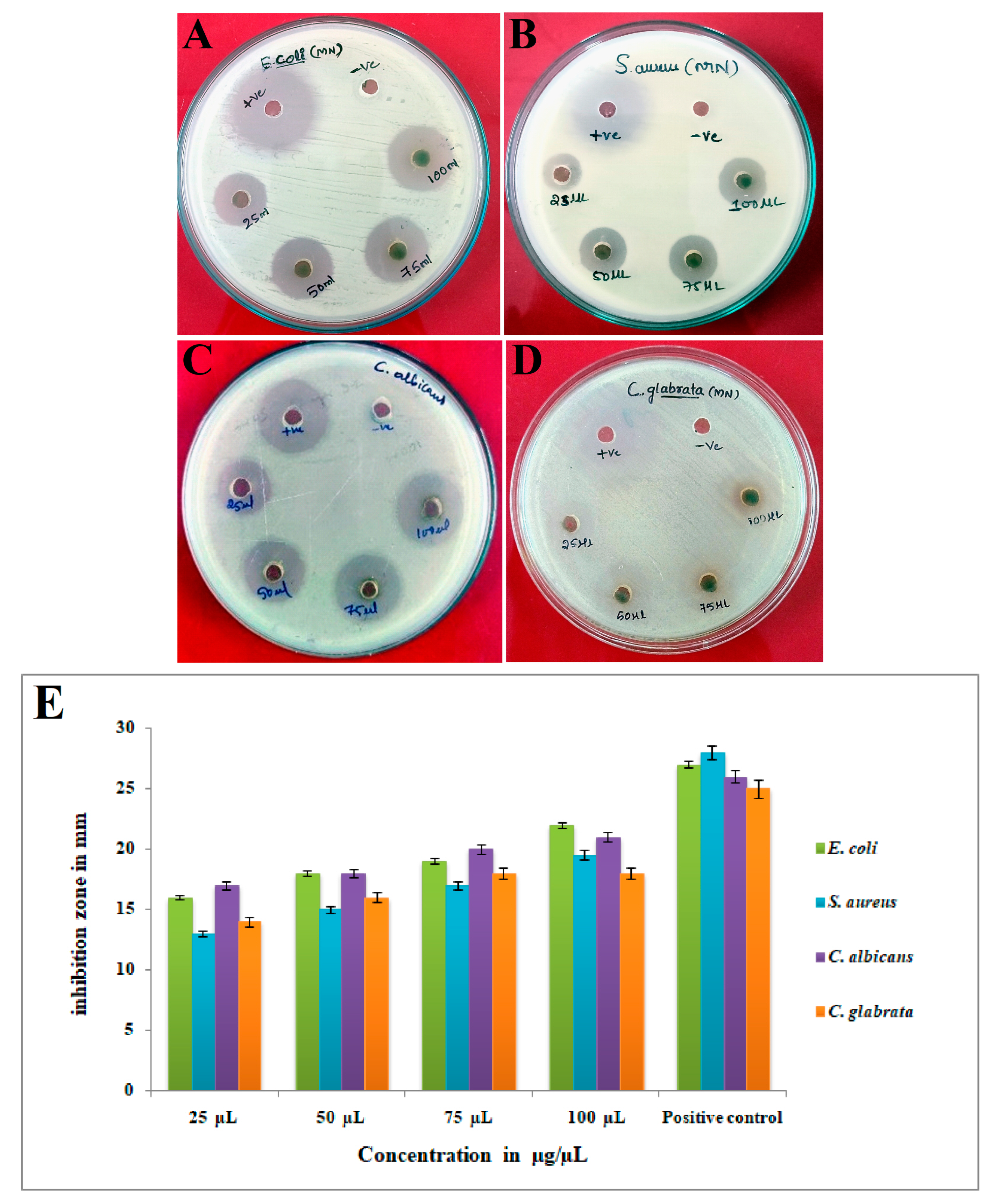 Bioengineering 10 00821 g009