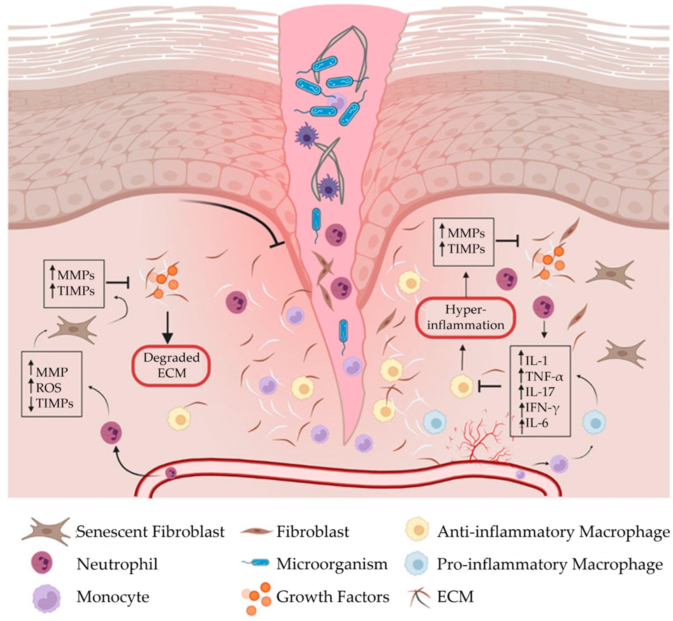 Bioengineering 10 00829 g002