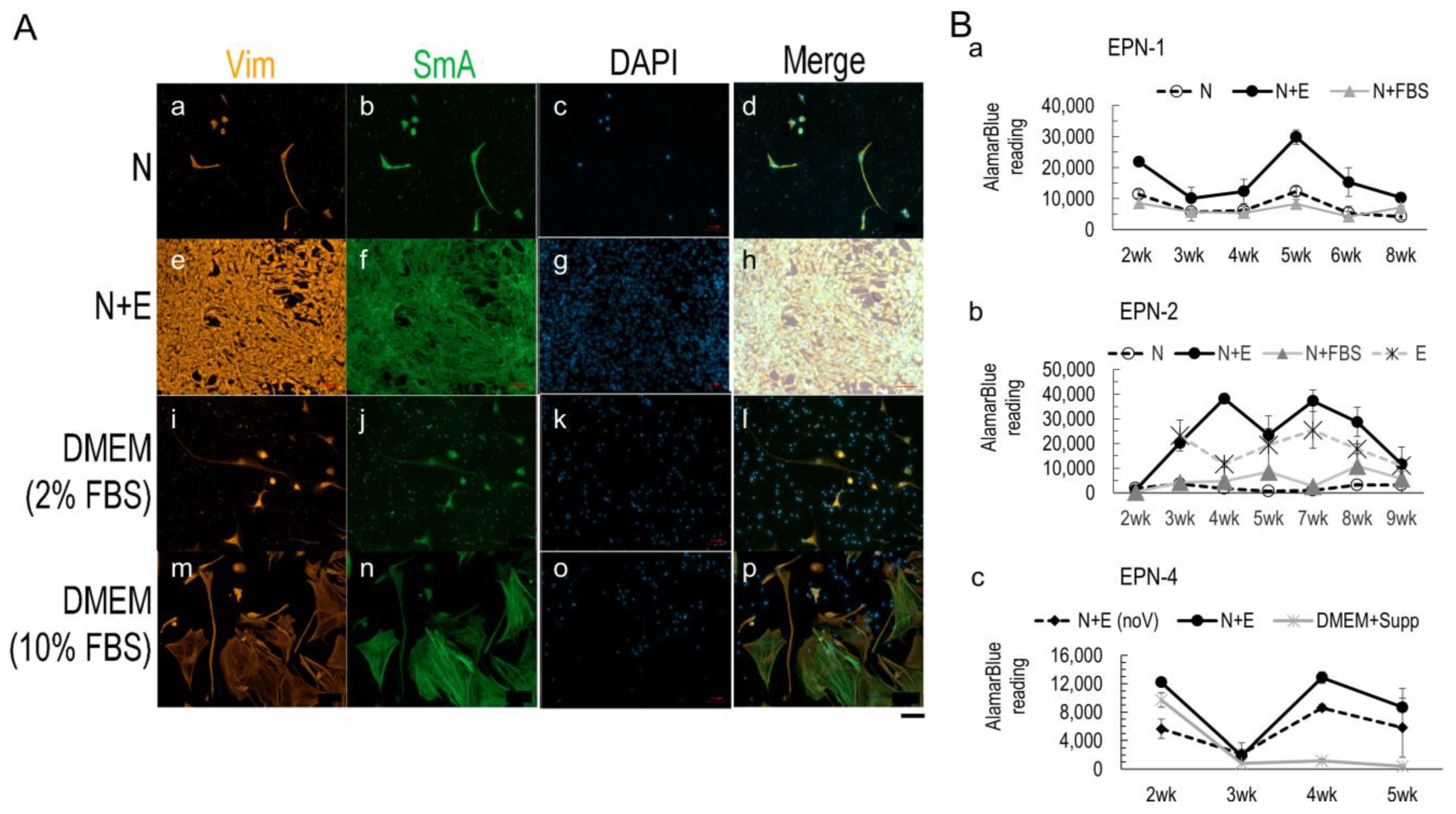 Bioengineering 10 00840 g002