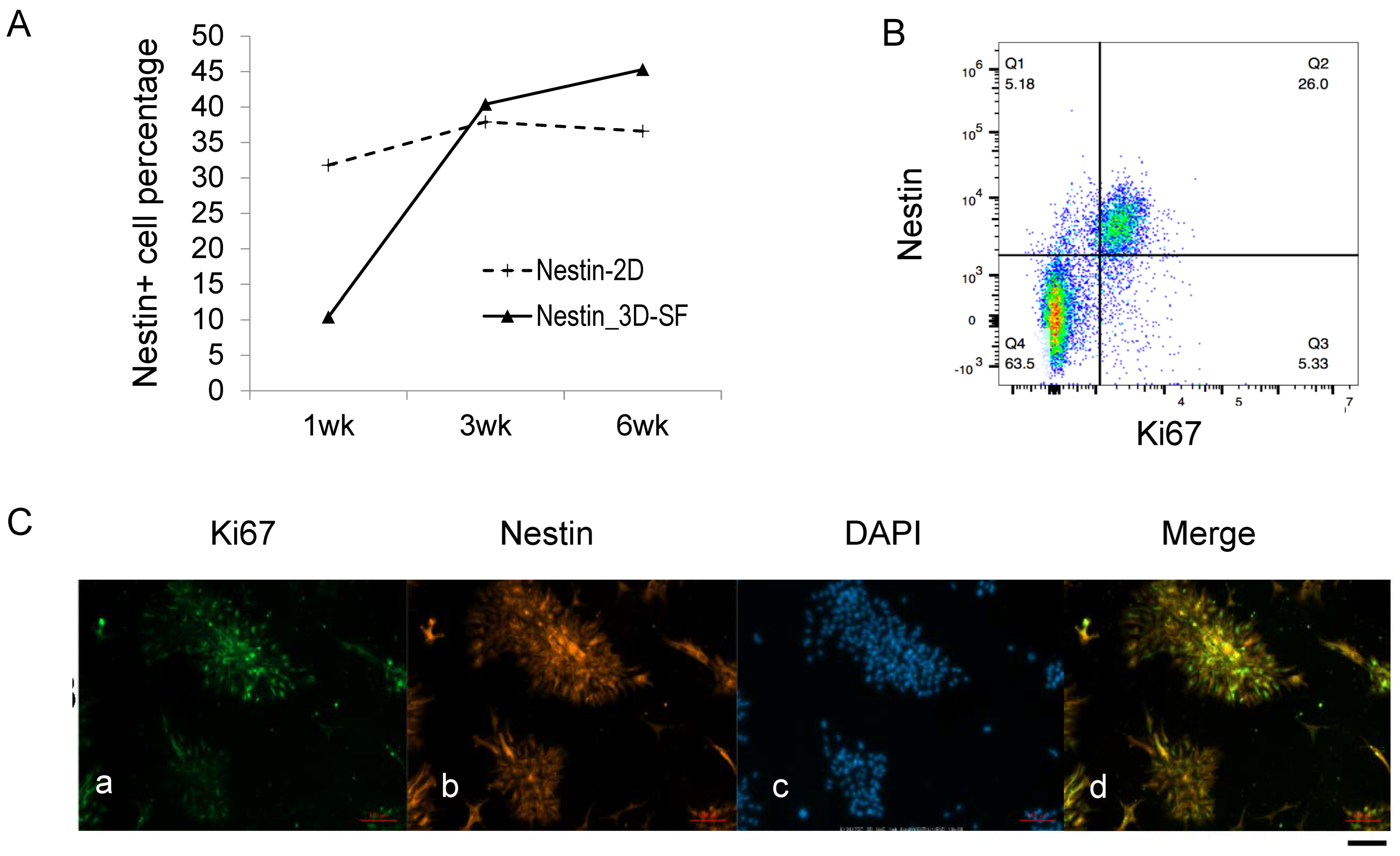 Bioengineering 10 00840 g004