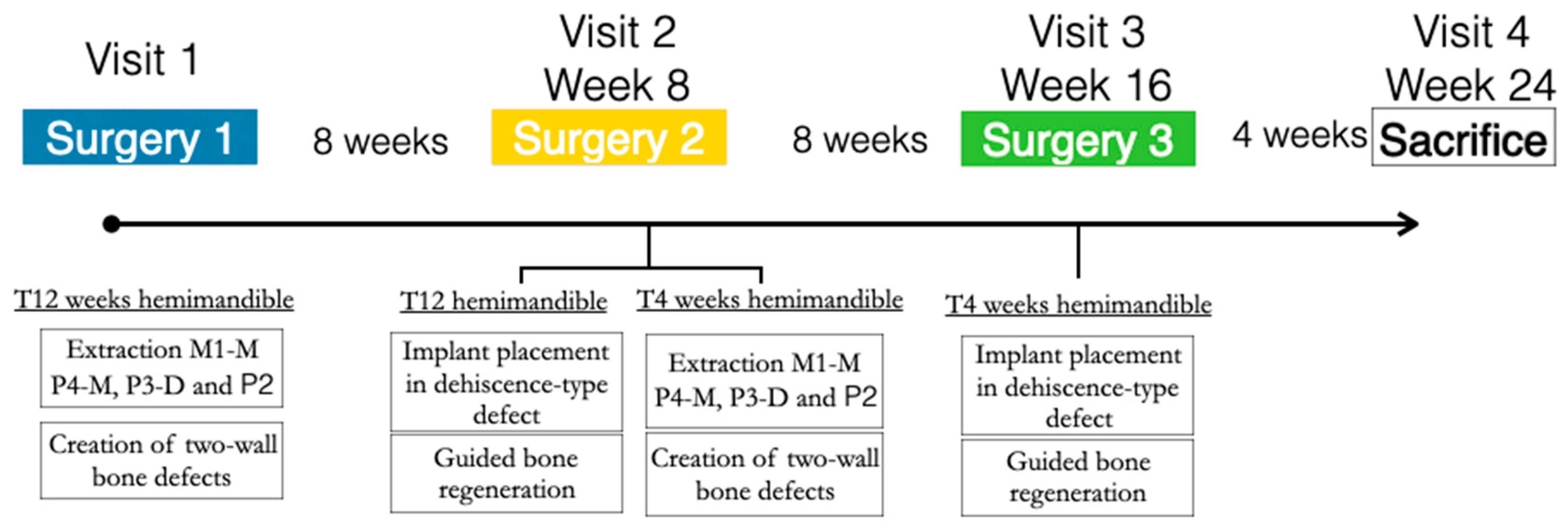 Bioengineering 10 00841 g001 Bioengineering 10 00841 g001