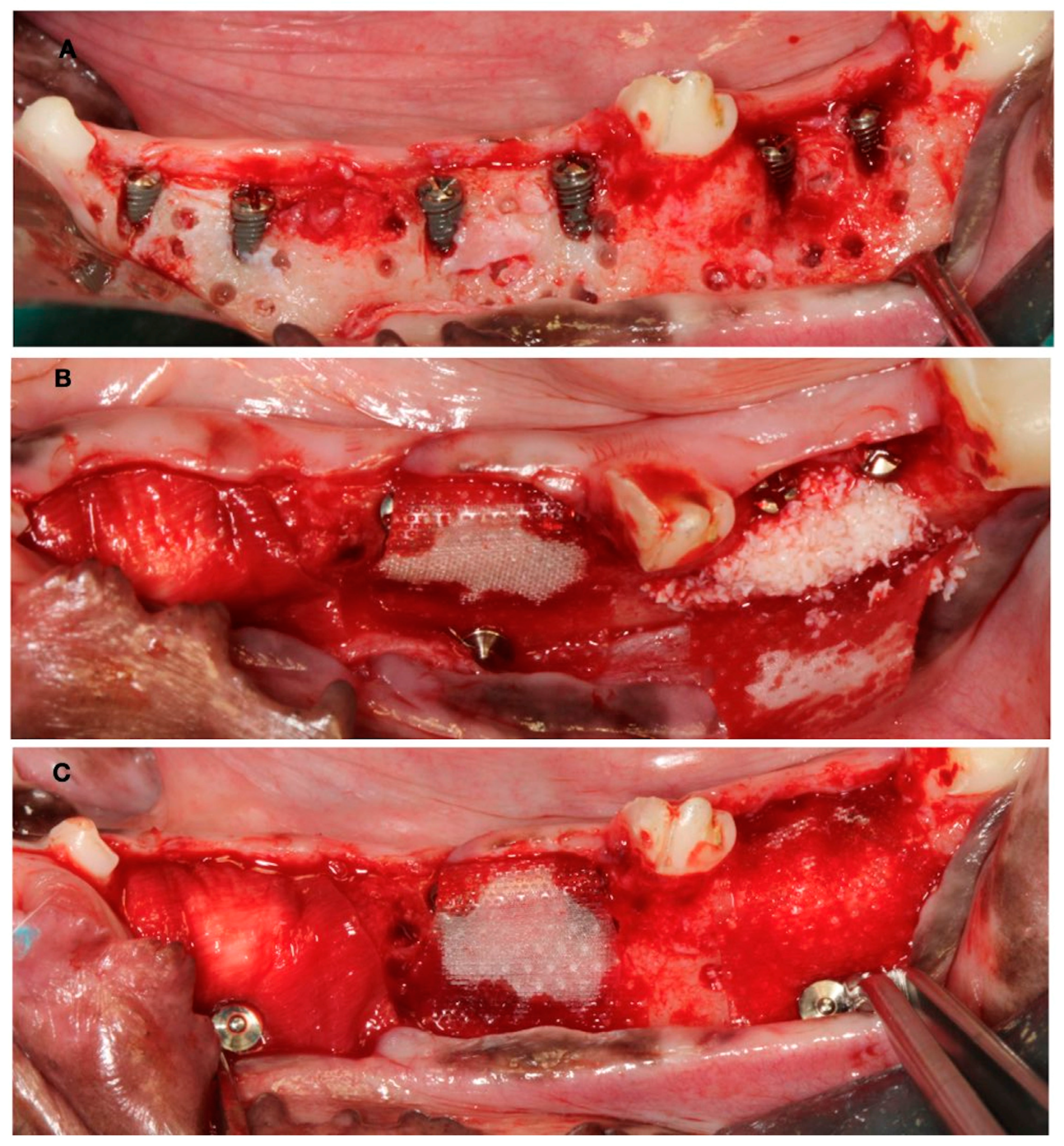 Bioengineering 10 00841 g003 Bioengineering 10 00841 g003
