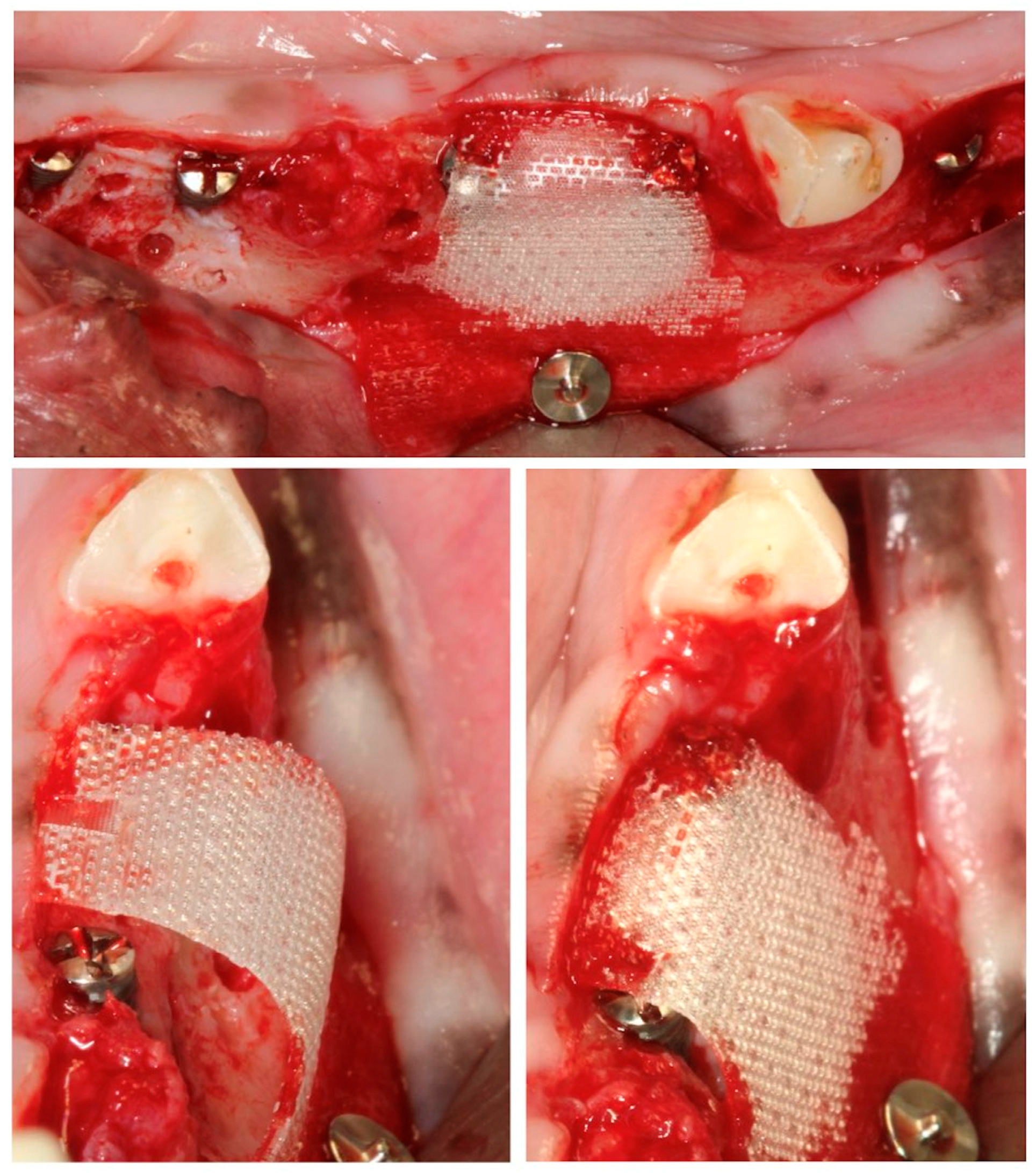 Bioengineering 10 00841 g005 Bioengineering 10 00841 g005
