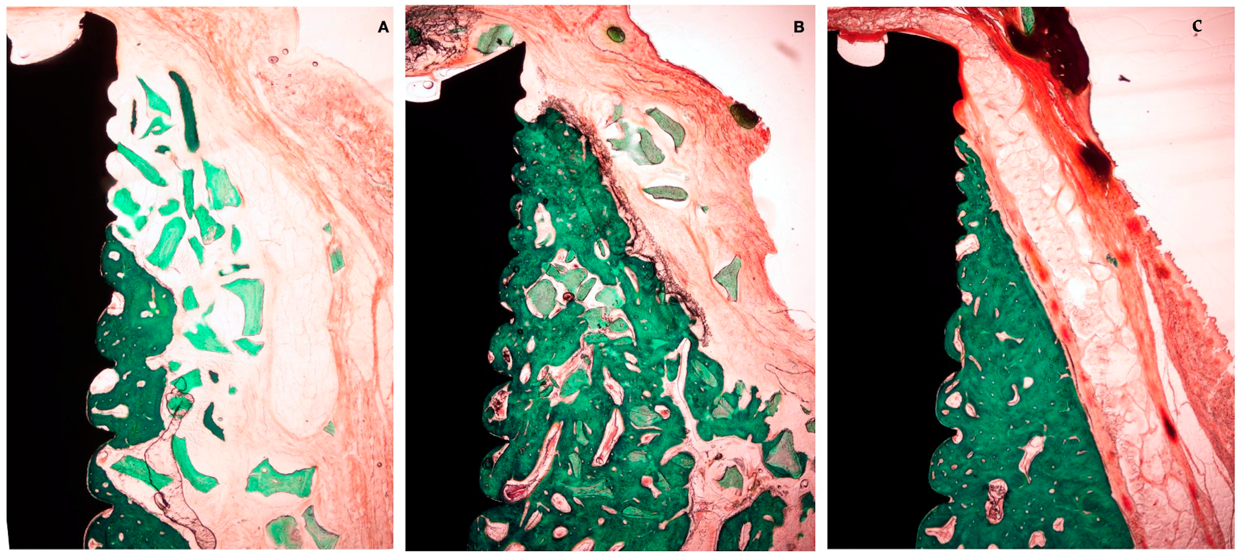 Bioengineering 10 00841 g009 Bioengineering 10 00841 g009
