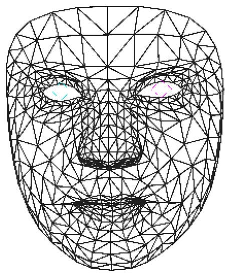 Face landmarks calculated with Face Mesh as default (adapted from