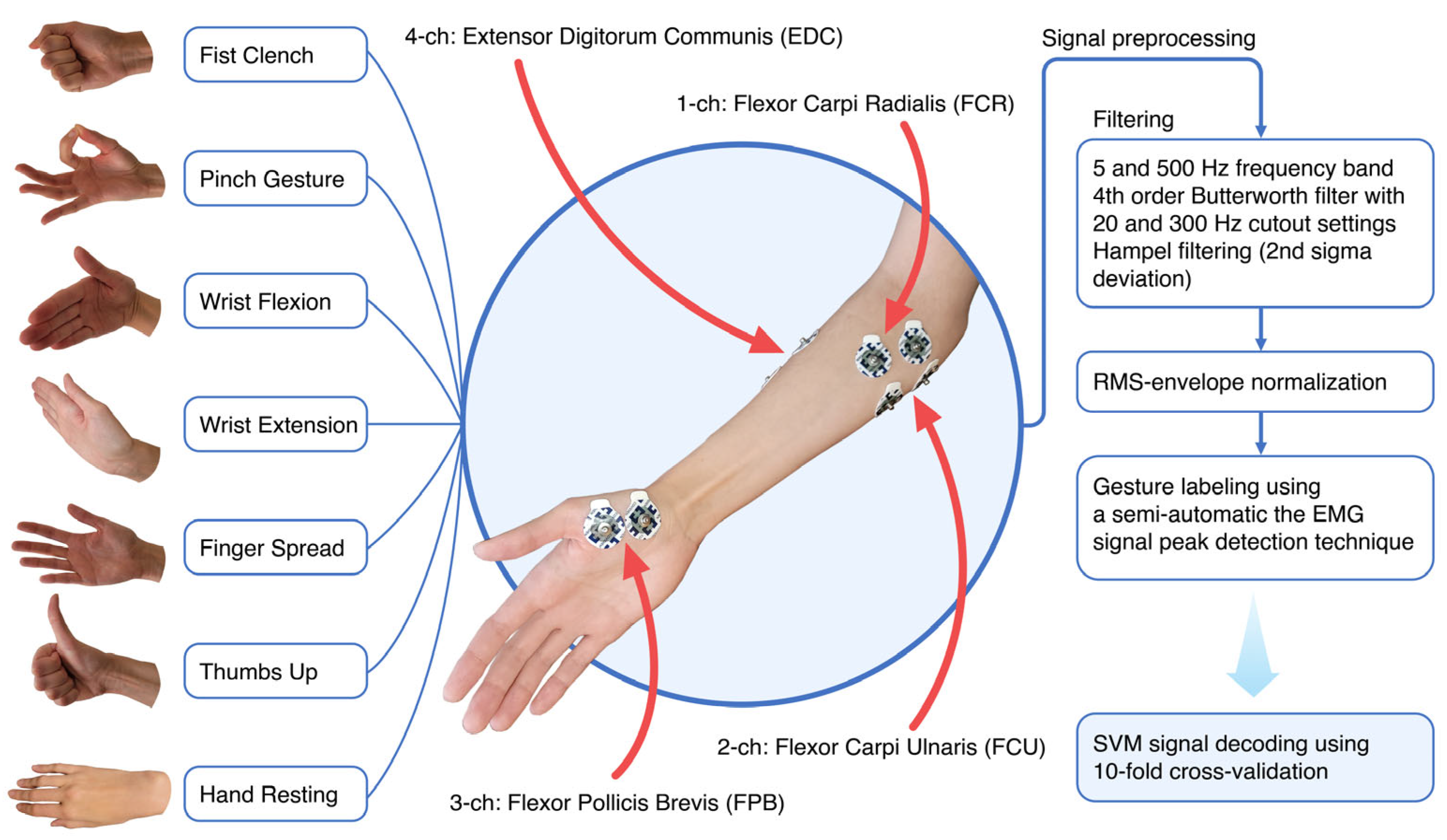 Bioengineering 10 00866 g002 Bioengineering 10 00866 g002