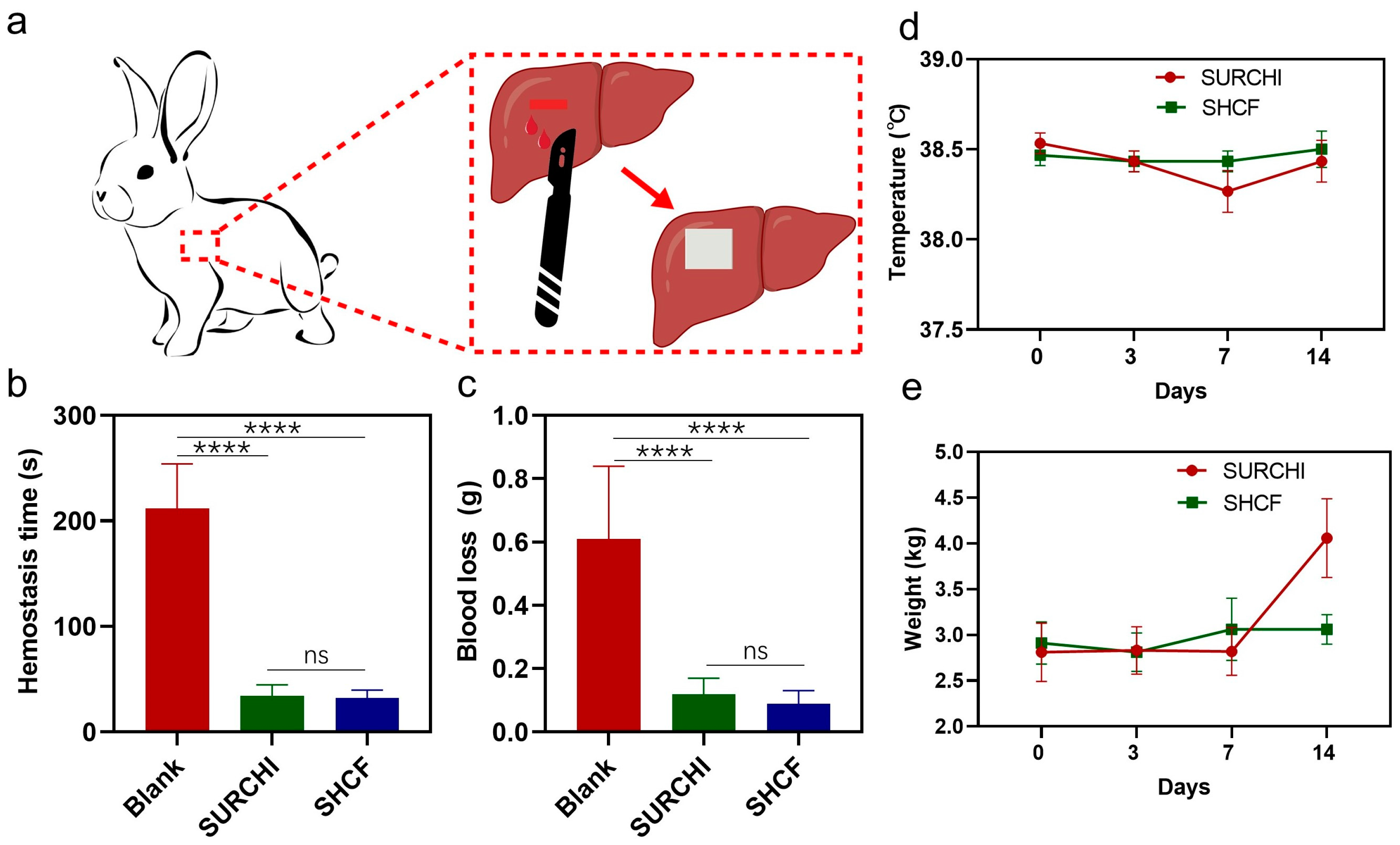 Bioengineering 10 00868 g004