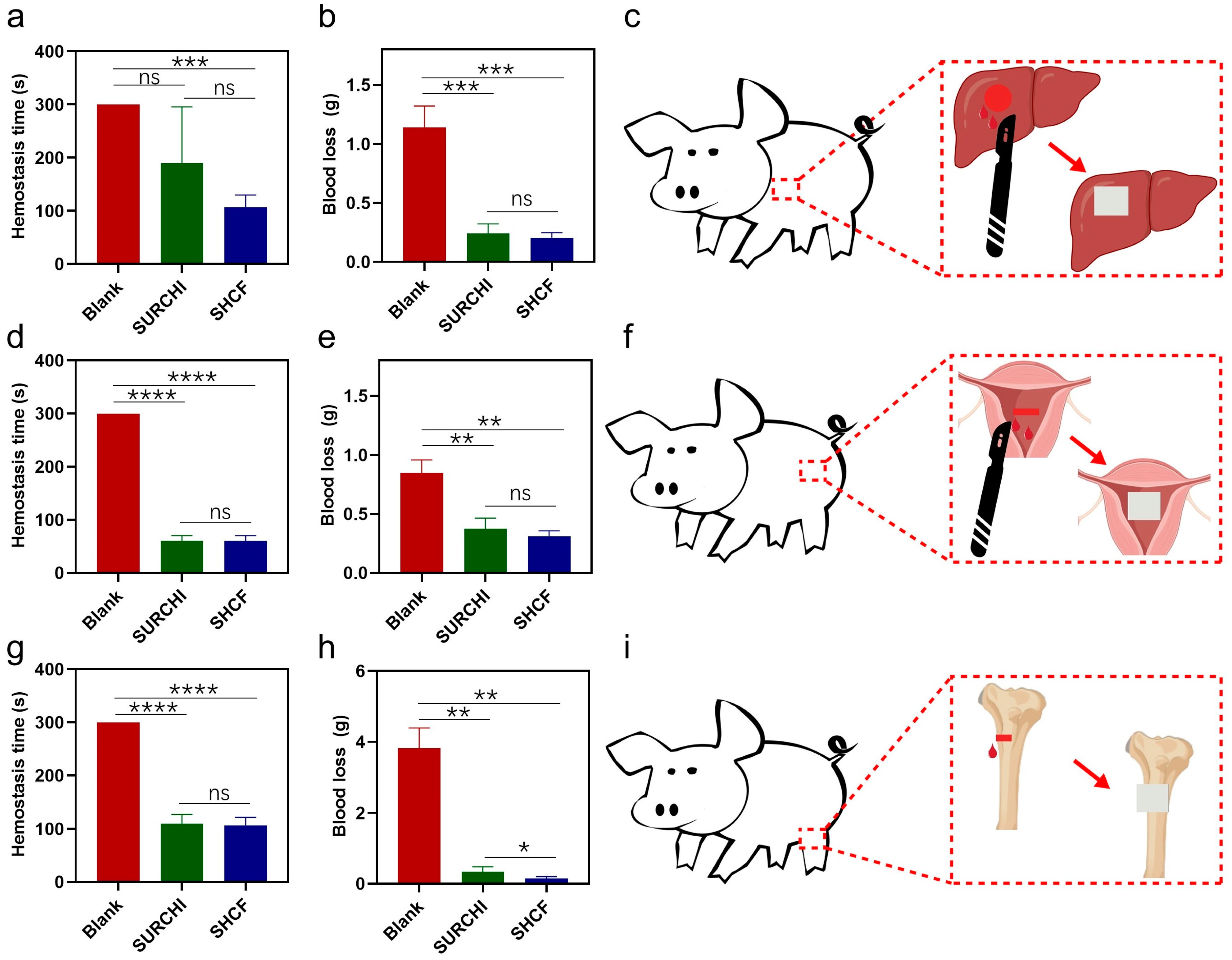 Bioengineering 10 00868 g005