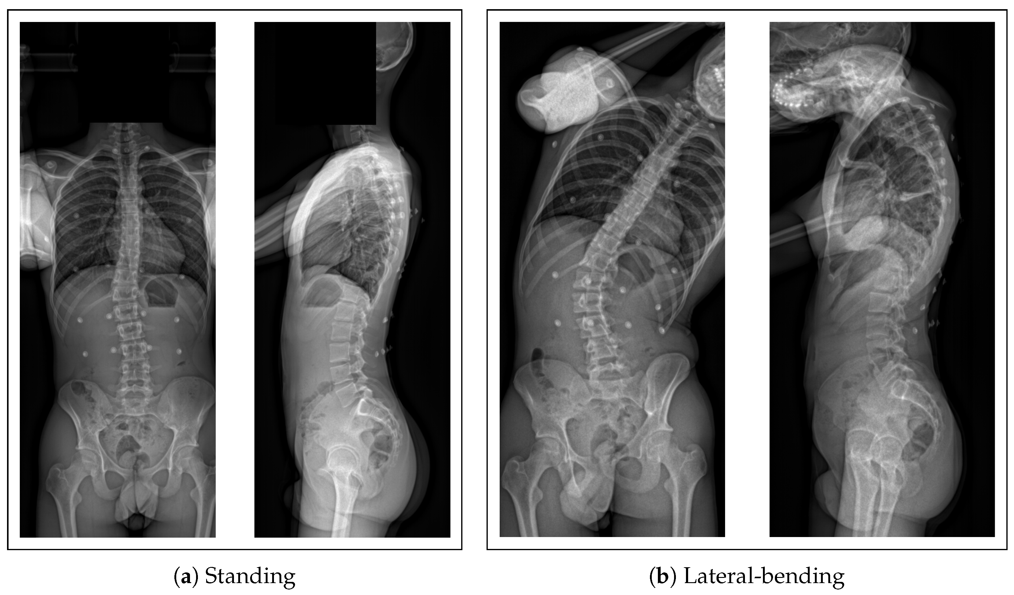 Bioengineering 10 00874 g002