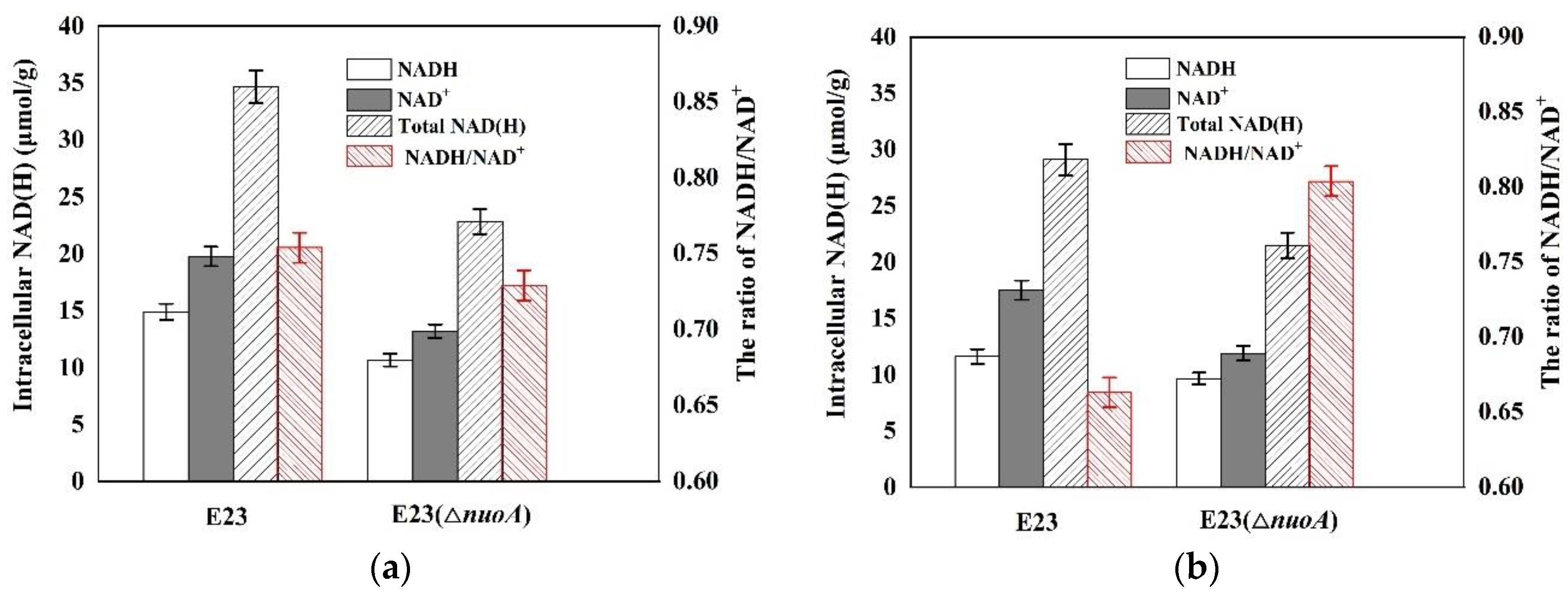 Bioengineering 10 00881 g004 Bioengineering 10 00881 g004