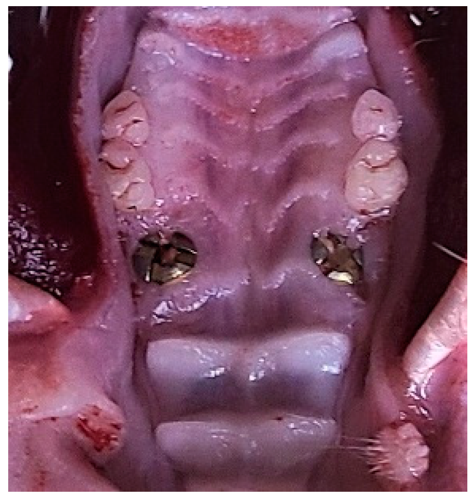 Bioengineering 10 00896 g006