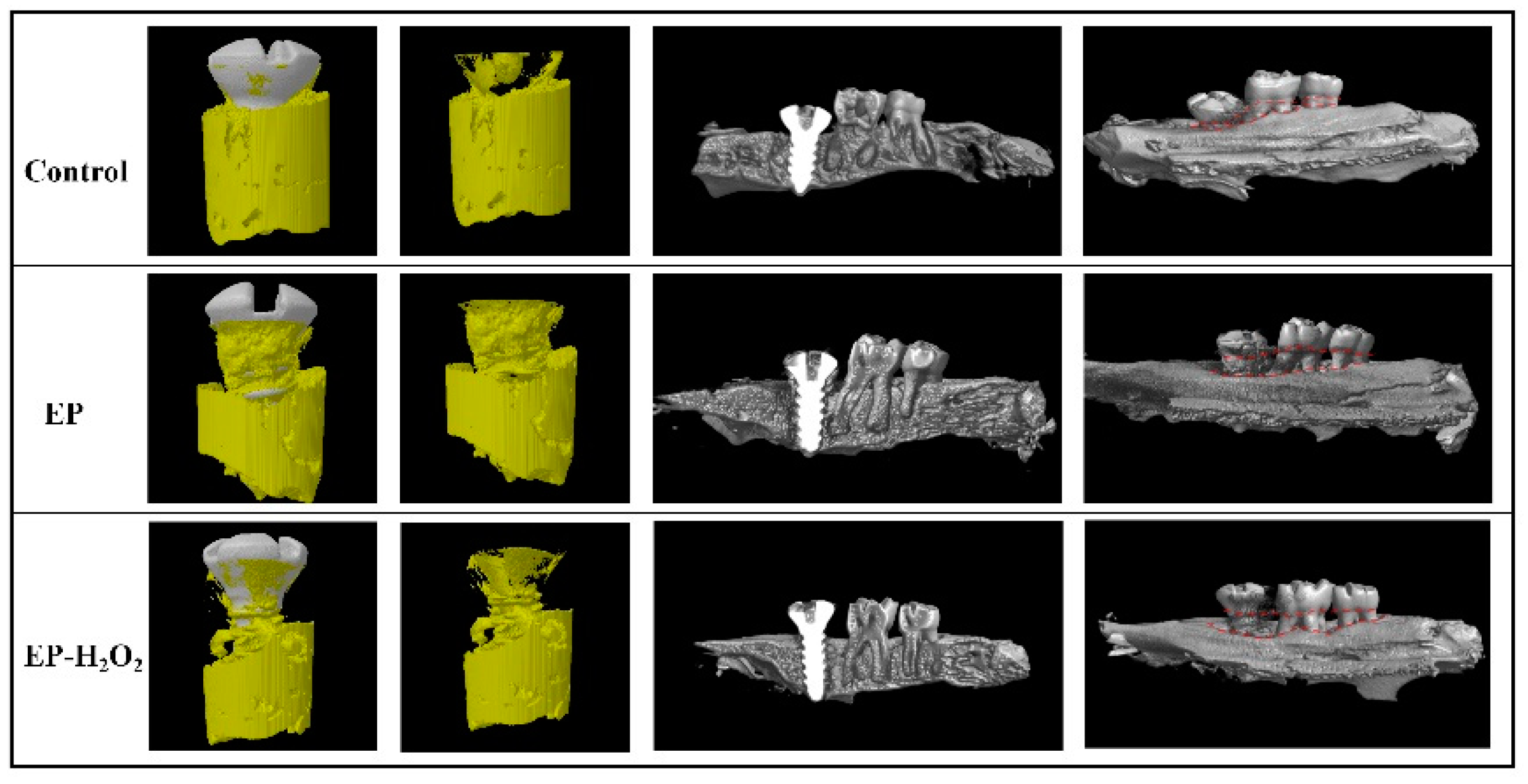 Bioengineering 10 00896 g011