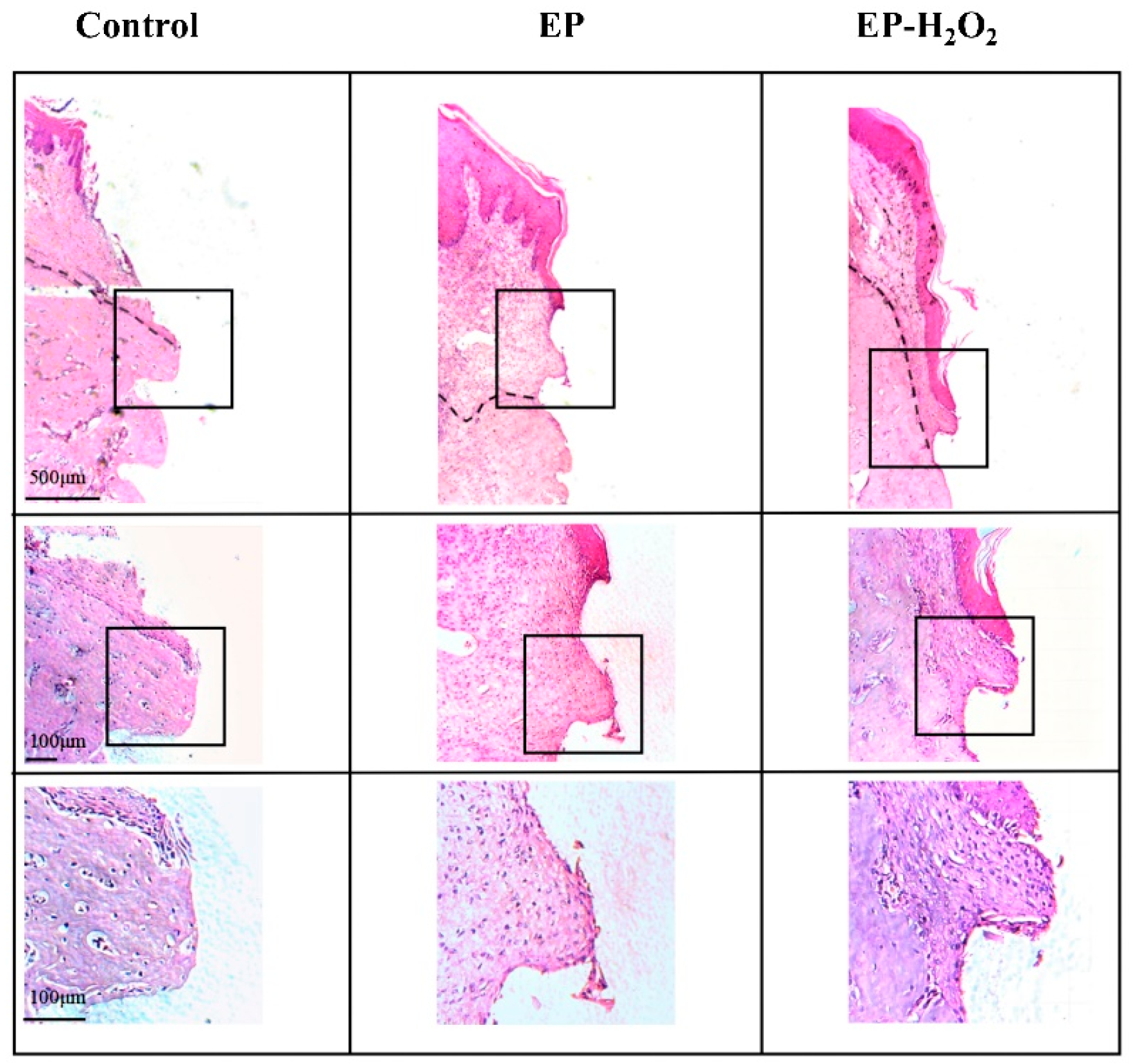 Bioengineering 10 00896 g013