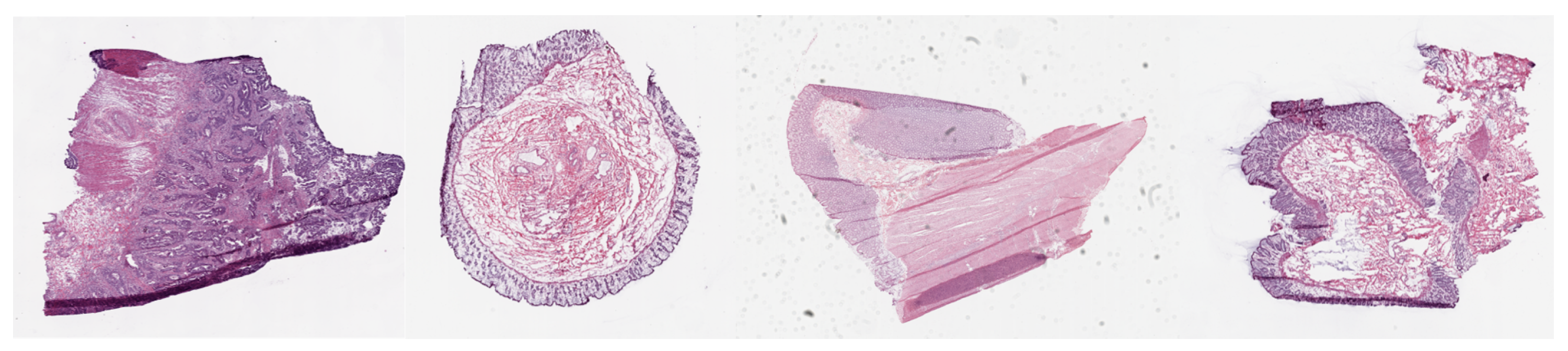 Bioengineering 10 00897 g001 Bioengineering 10 00897 g001