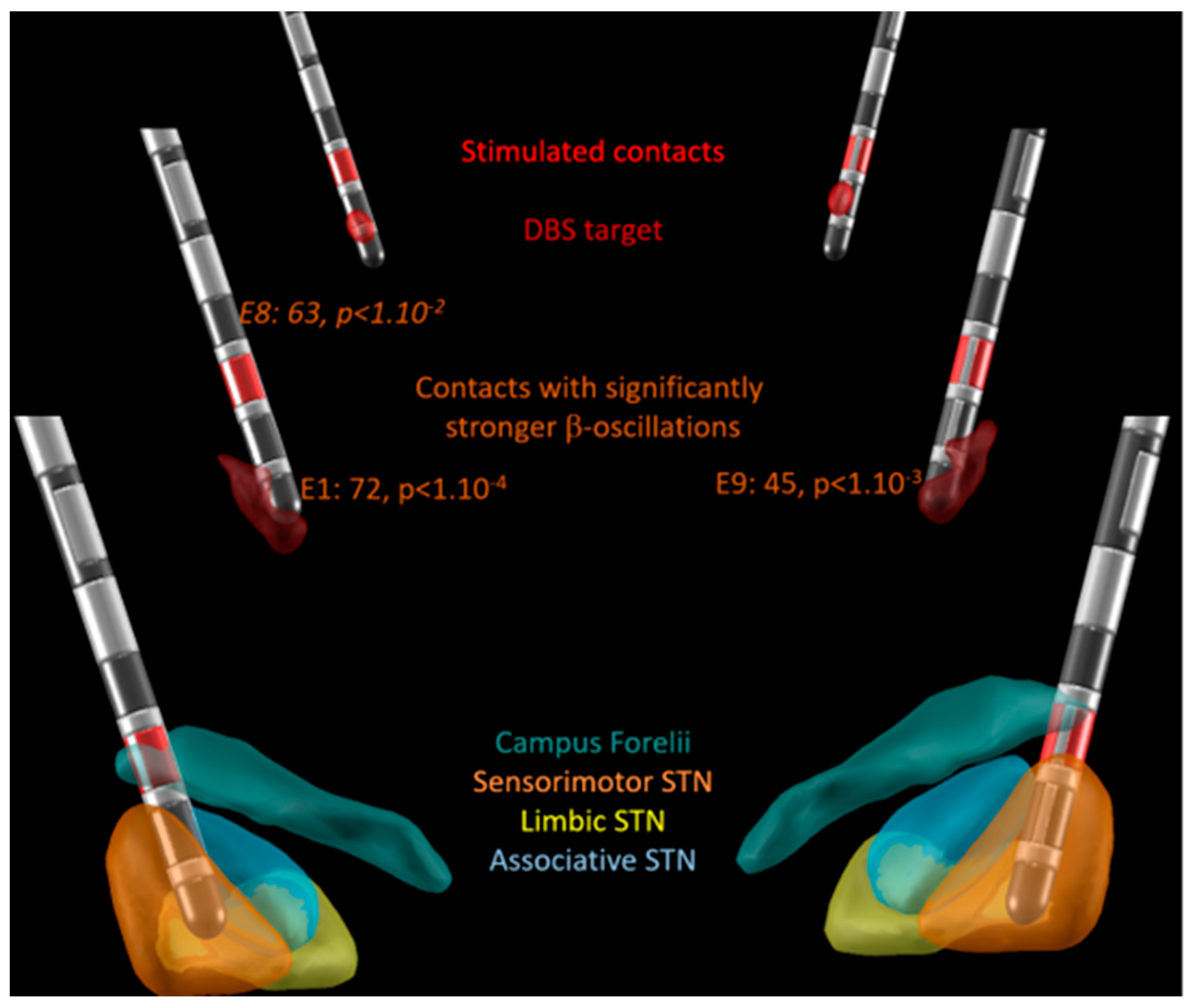Bioengineering 10 00898 g002 Bioengineering 10 00898 g002