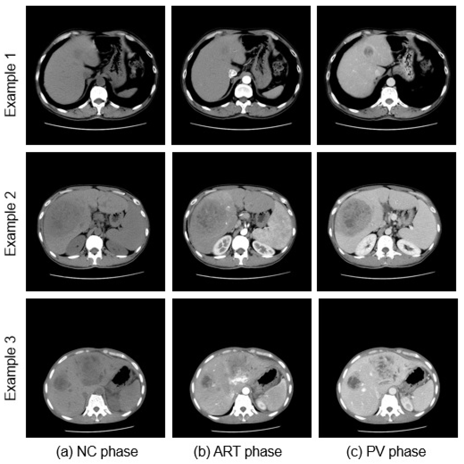 Bioengineering 10 00899 g001 Bioengineering 10 00899 g001