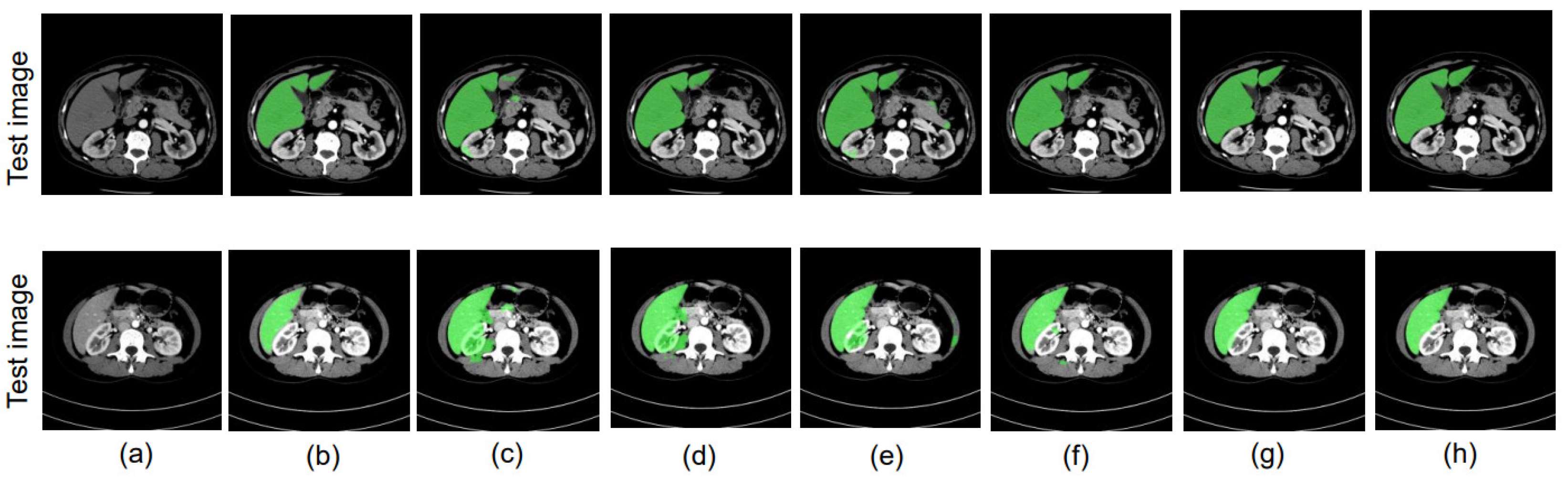 Bioengineering 10 00899 g006 Bioengineering 10 00899 g006