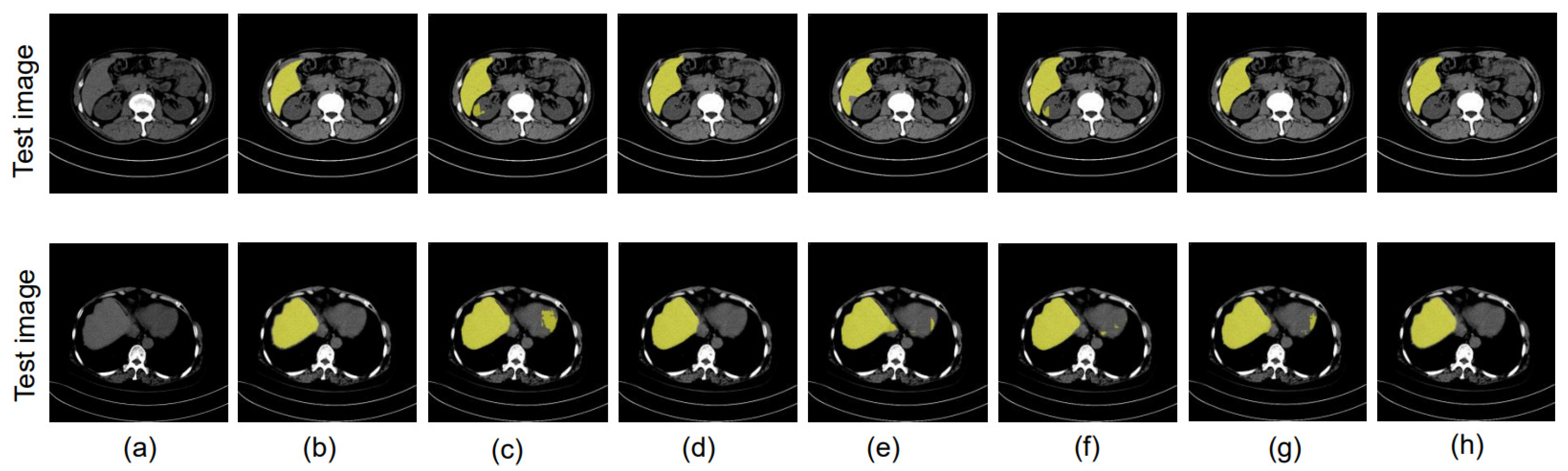 Bioengineering 10 00899 g007 Bioengineering 10 00899 g007
