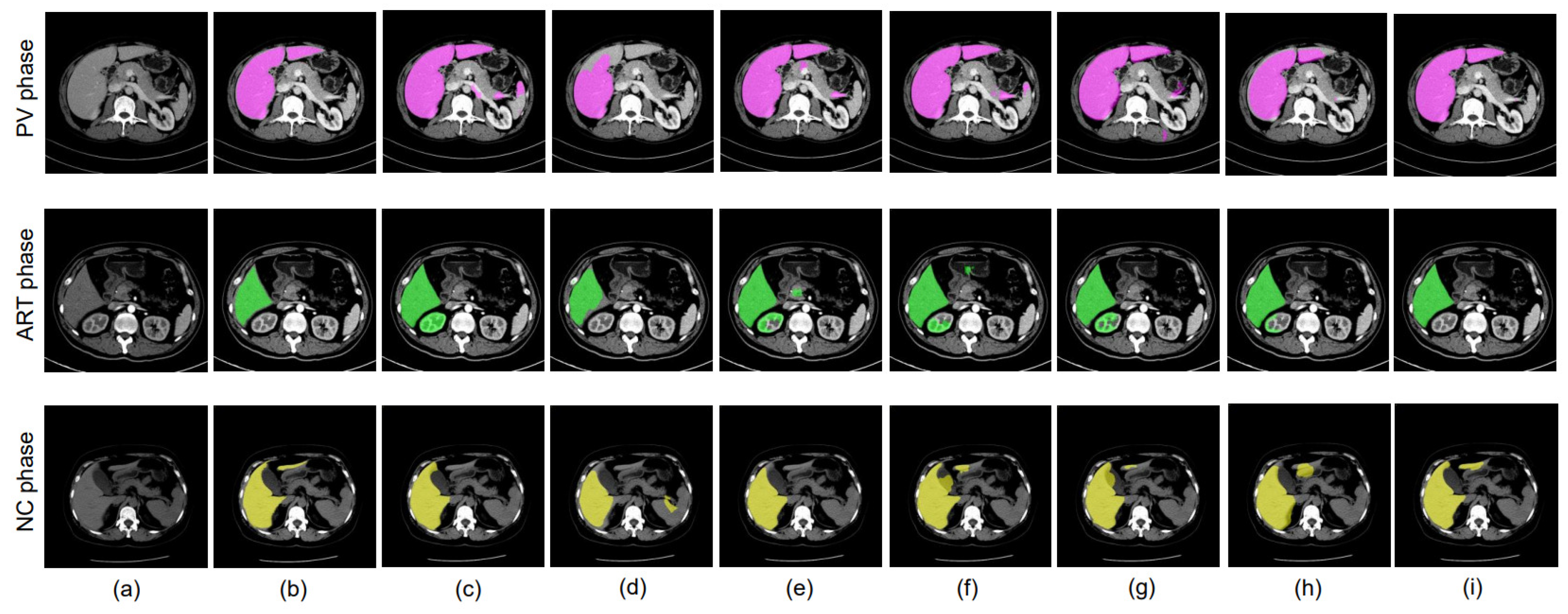 Bioengineering 10 00899 g008 Bioengineering 10 00899 g008