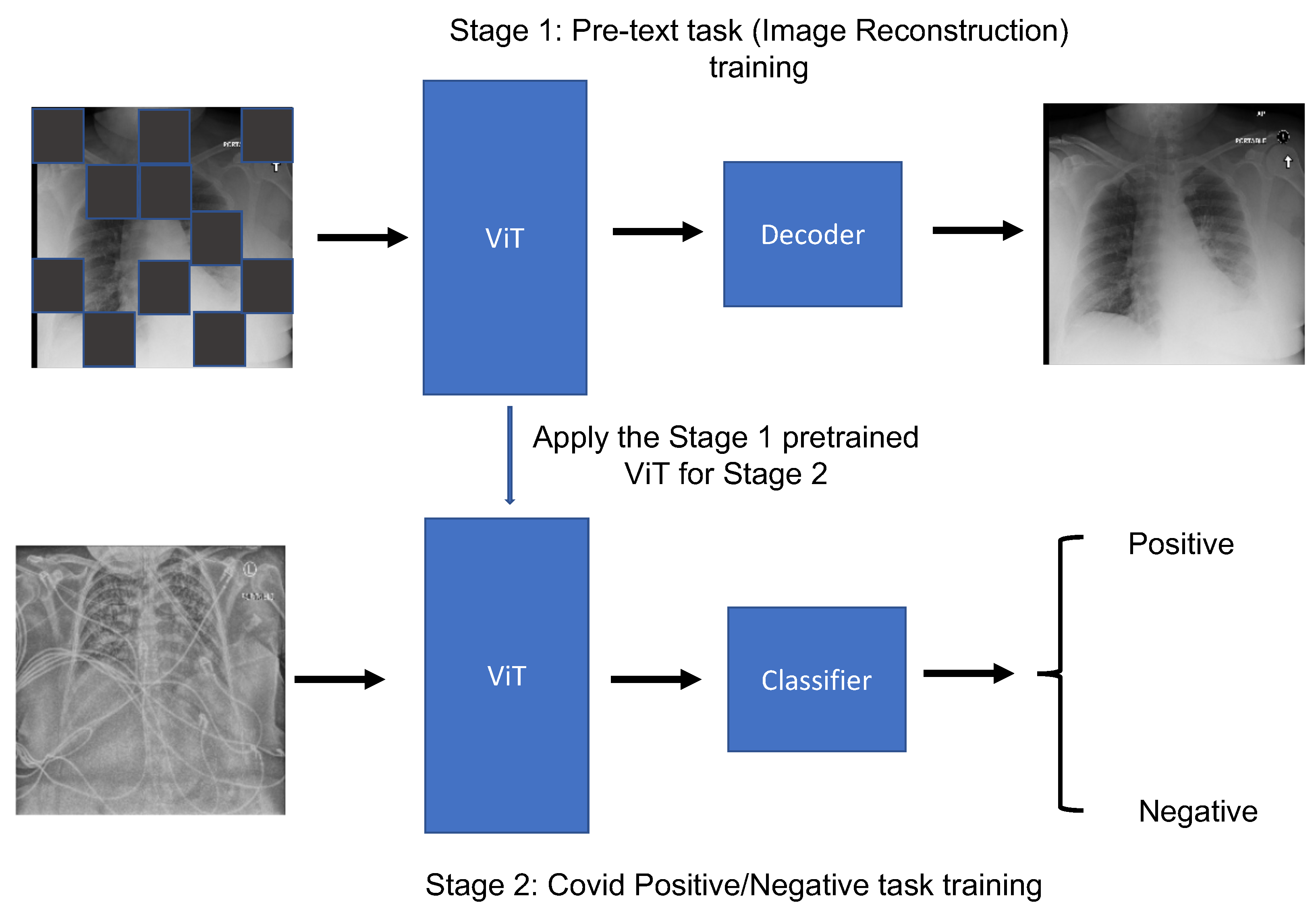 Bioengineering 10 00901 g003 Bioengineering 10 00901 g003