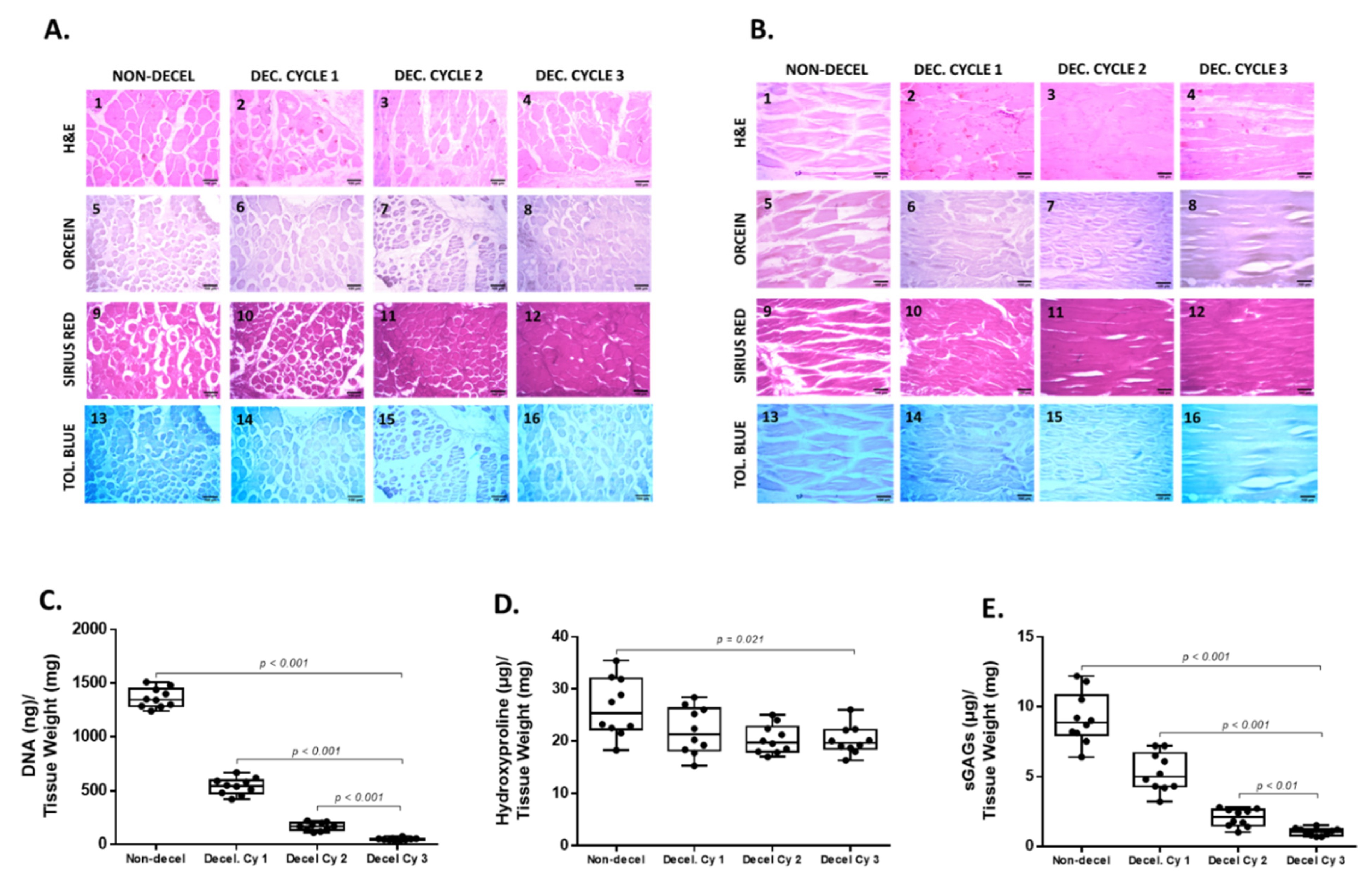 Bioengineering 10 00913 g002