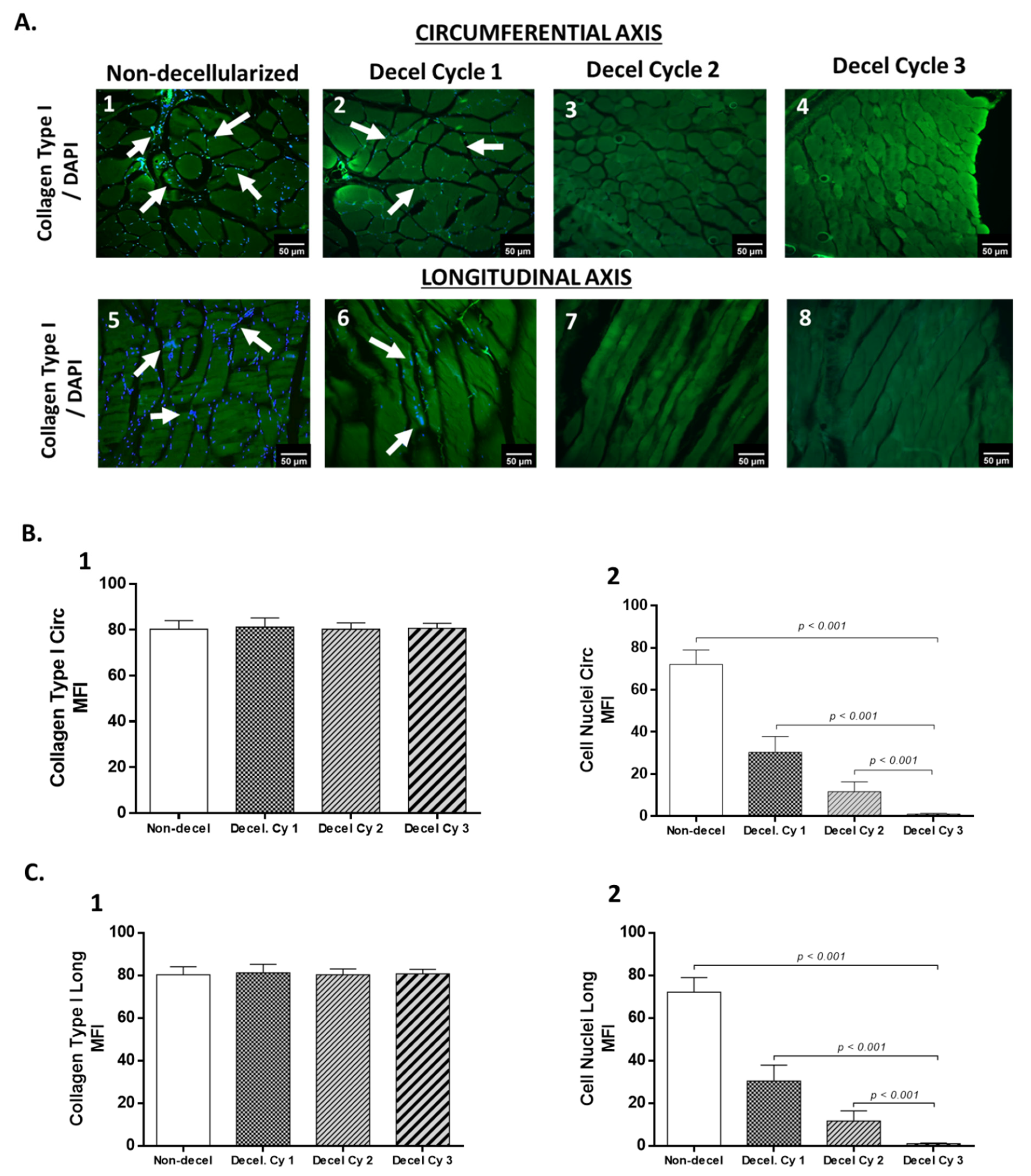 Bioengineering 10 00913 g003