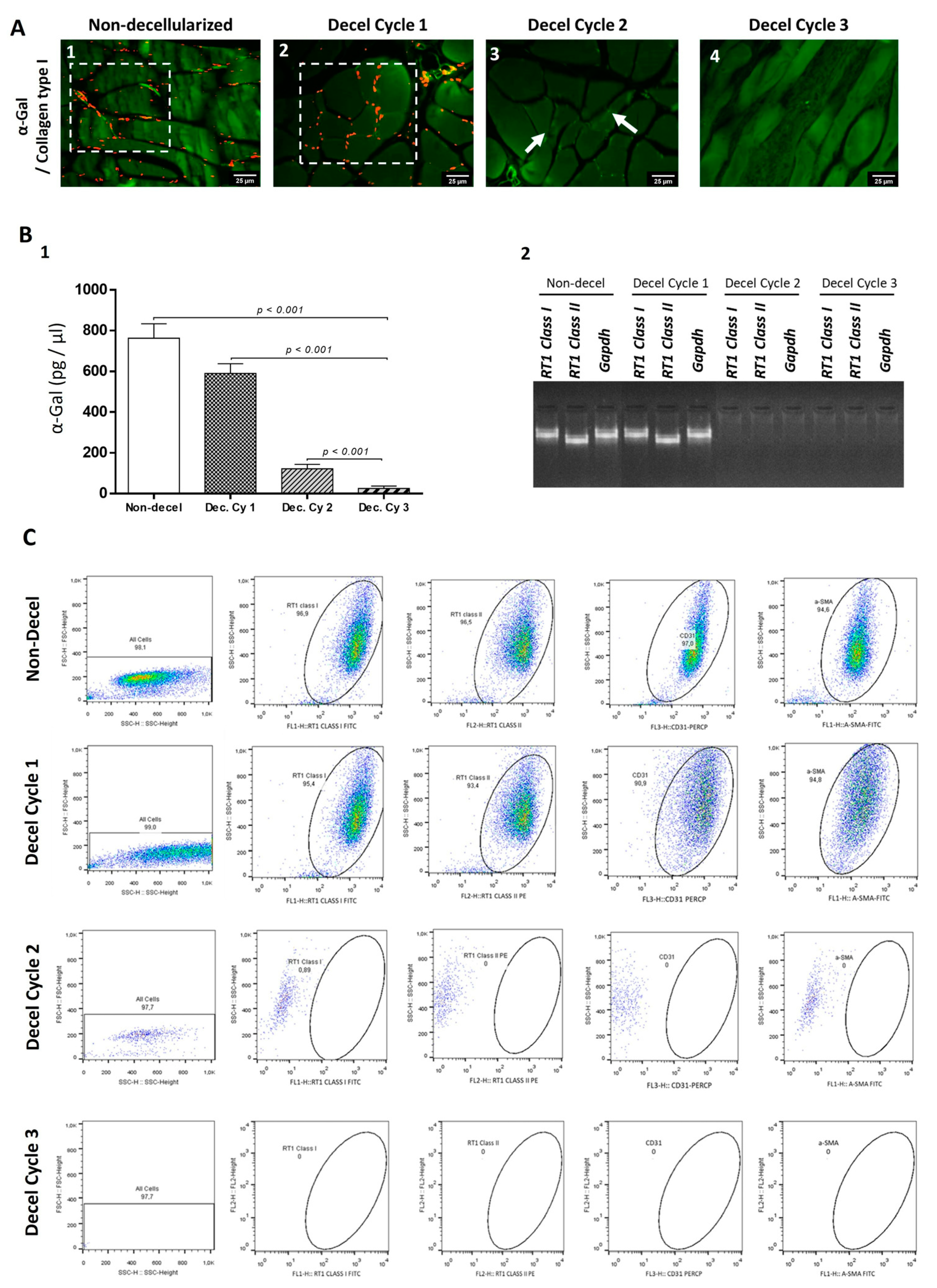 Bioengineering 10 00913 g005