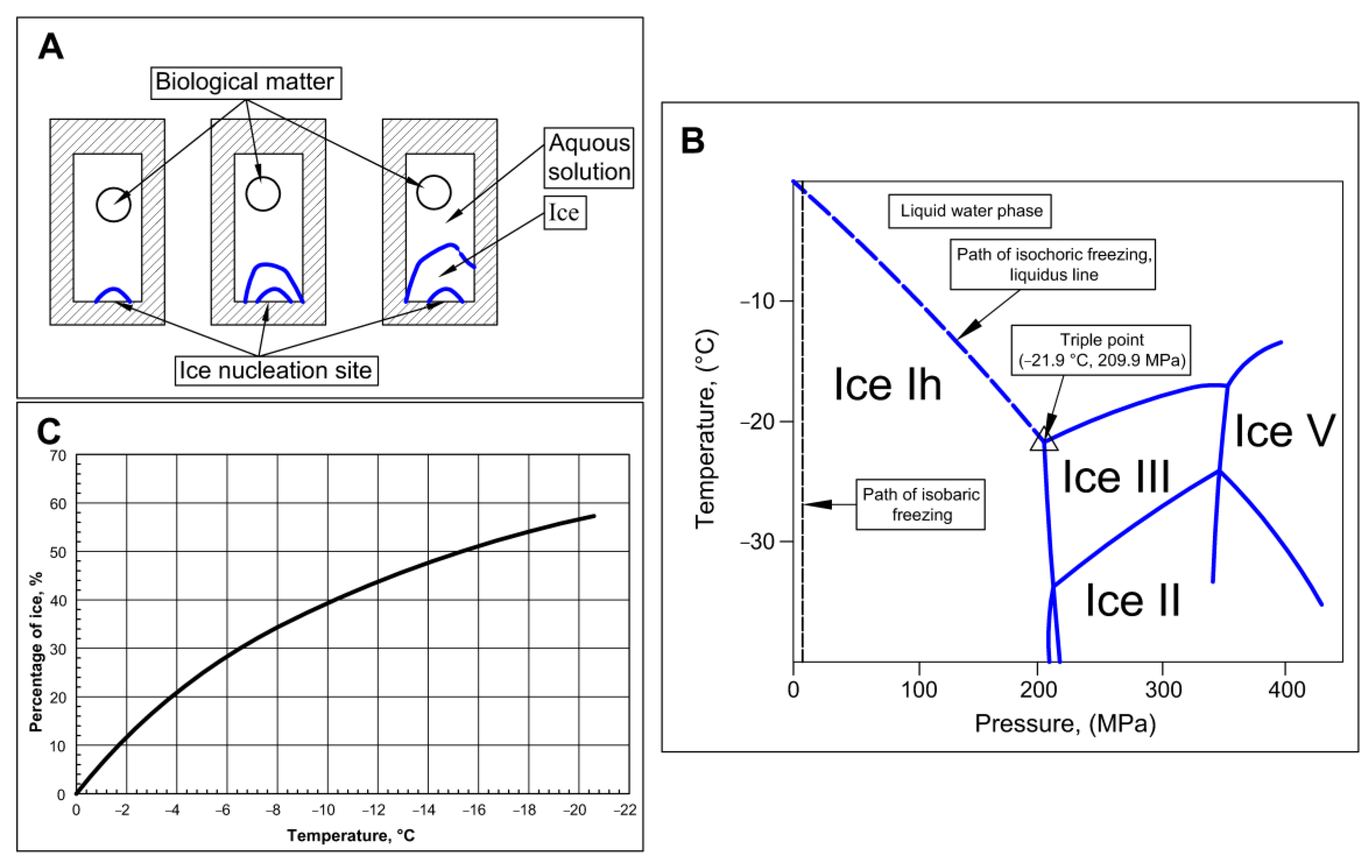 Bioengineering | Free Full-Text | Isochoric Supercooling Organ ...