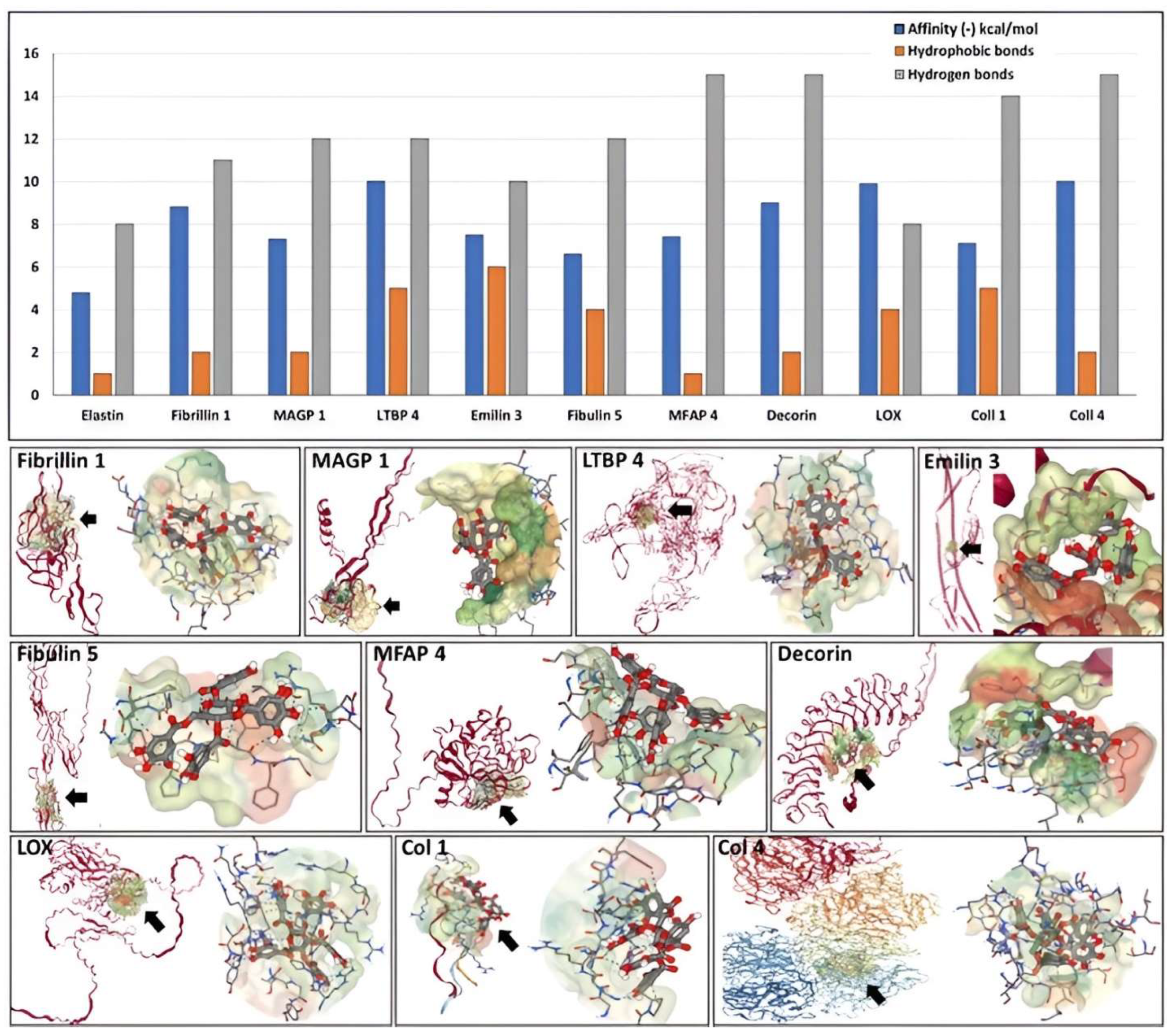 Bioengineering 10 00936 g004 Bioengineering 10 00936 g004