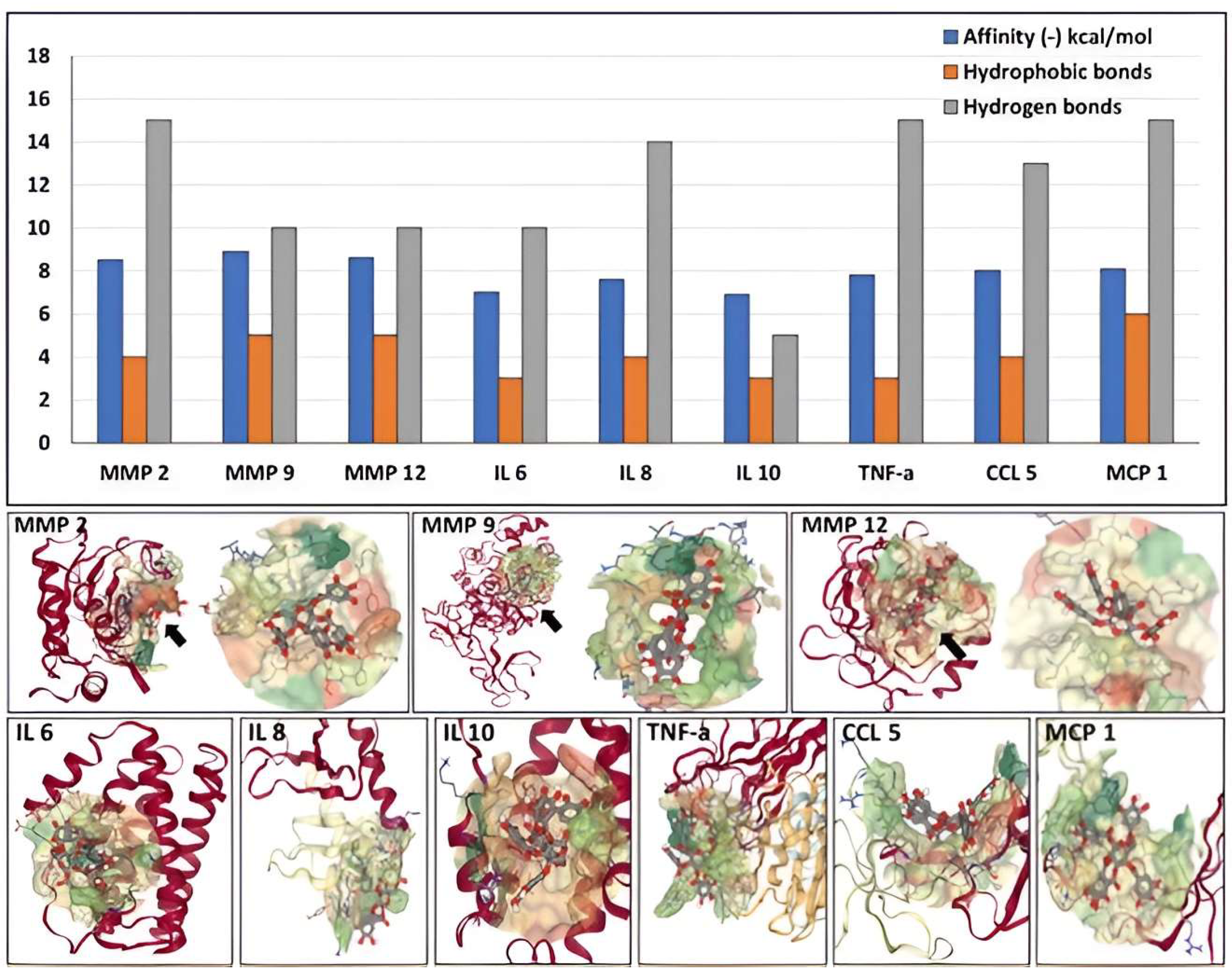 Bioengineering 10 00936 g005 Bioengineering 10 00936 g005