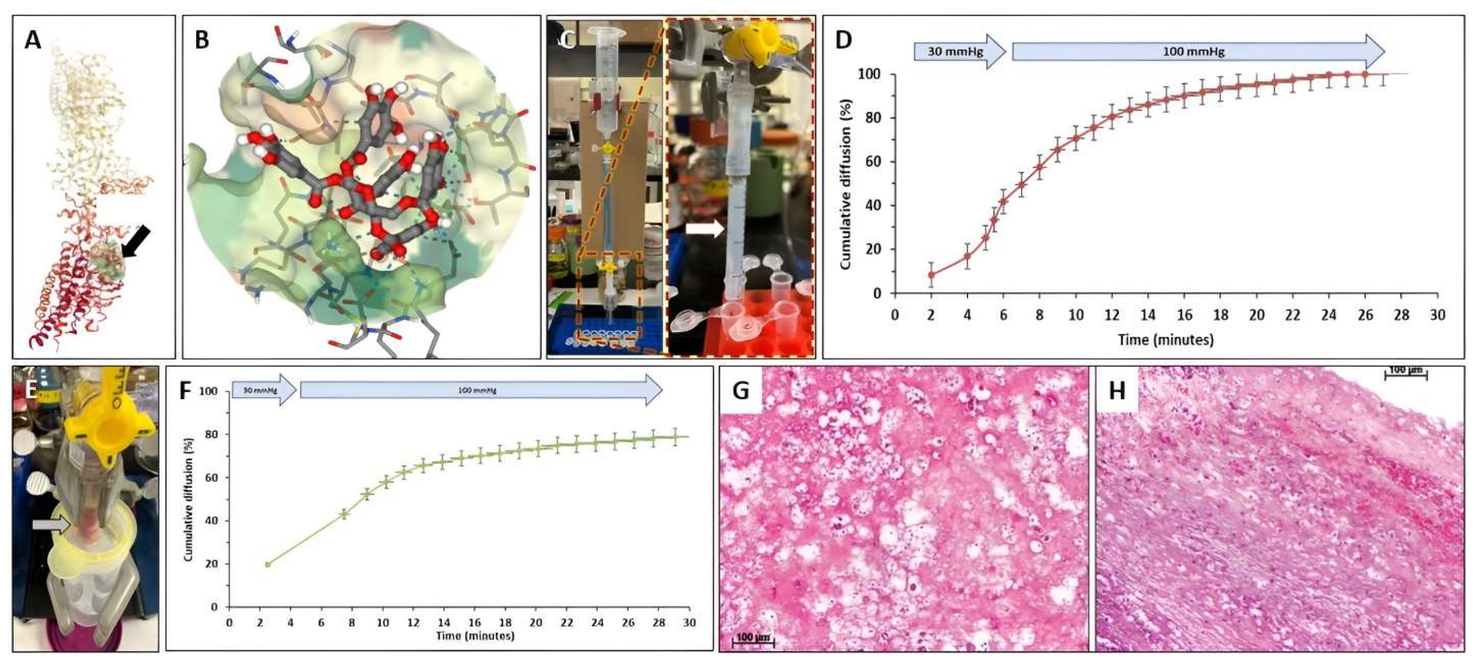 Bioengineering 10 00936 g006 Bioengineering 10 00936 g006