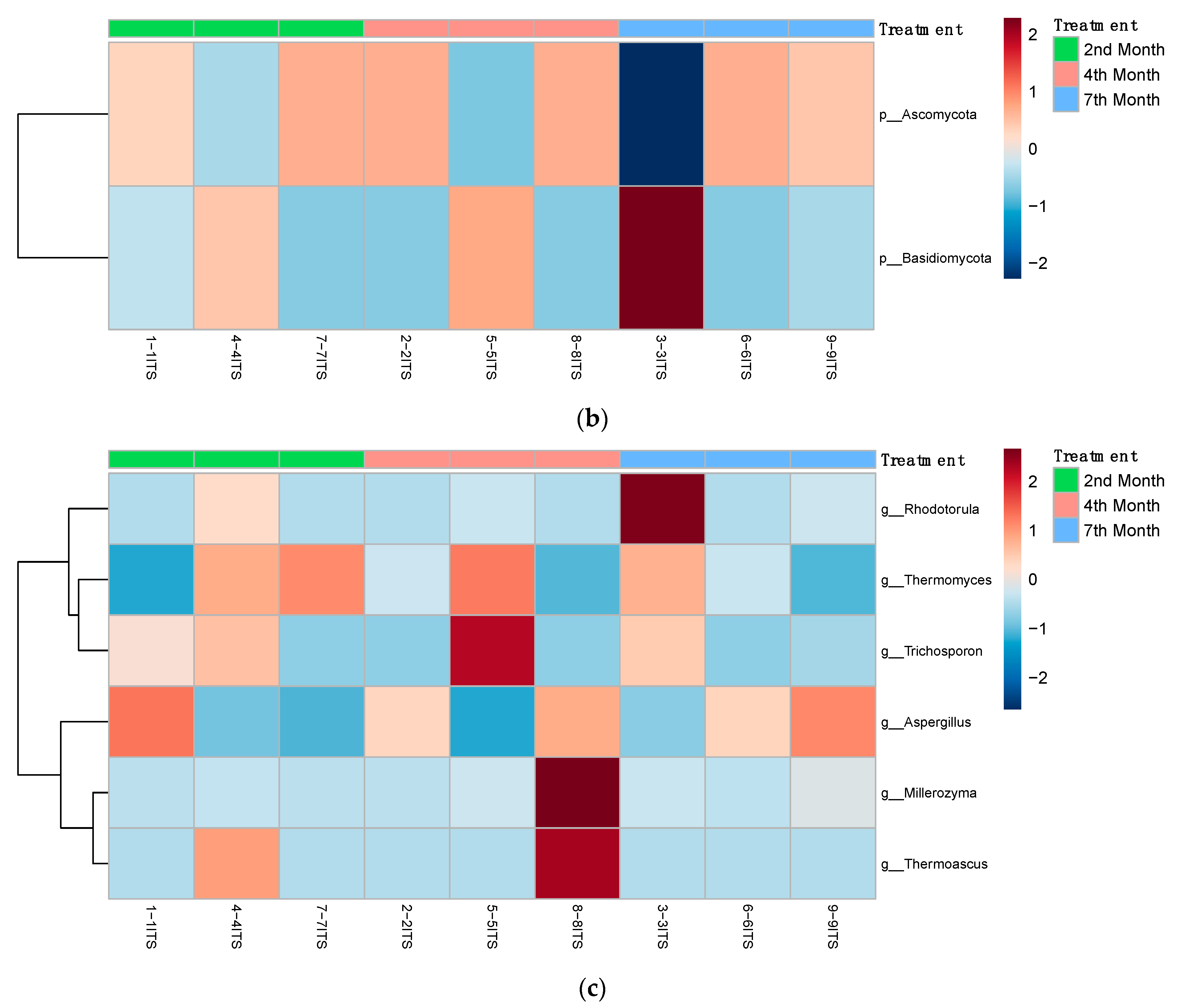 Bioengineering 10 00938 g007b Bioengineering 10 00938 g007b