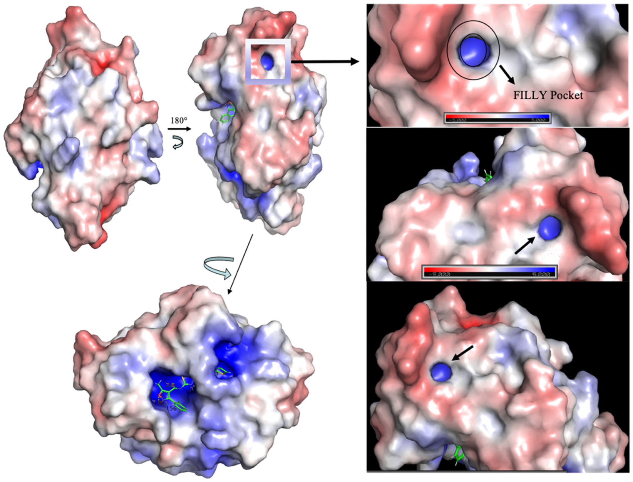 Bioengineering 10 00961 g006