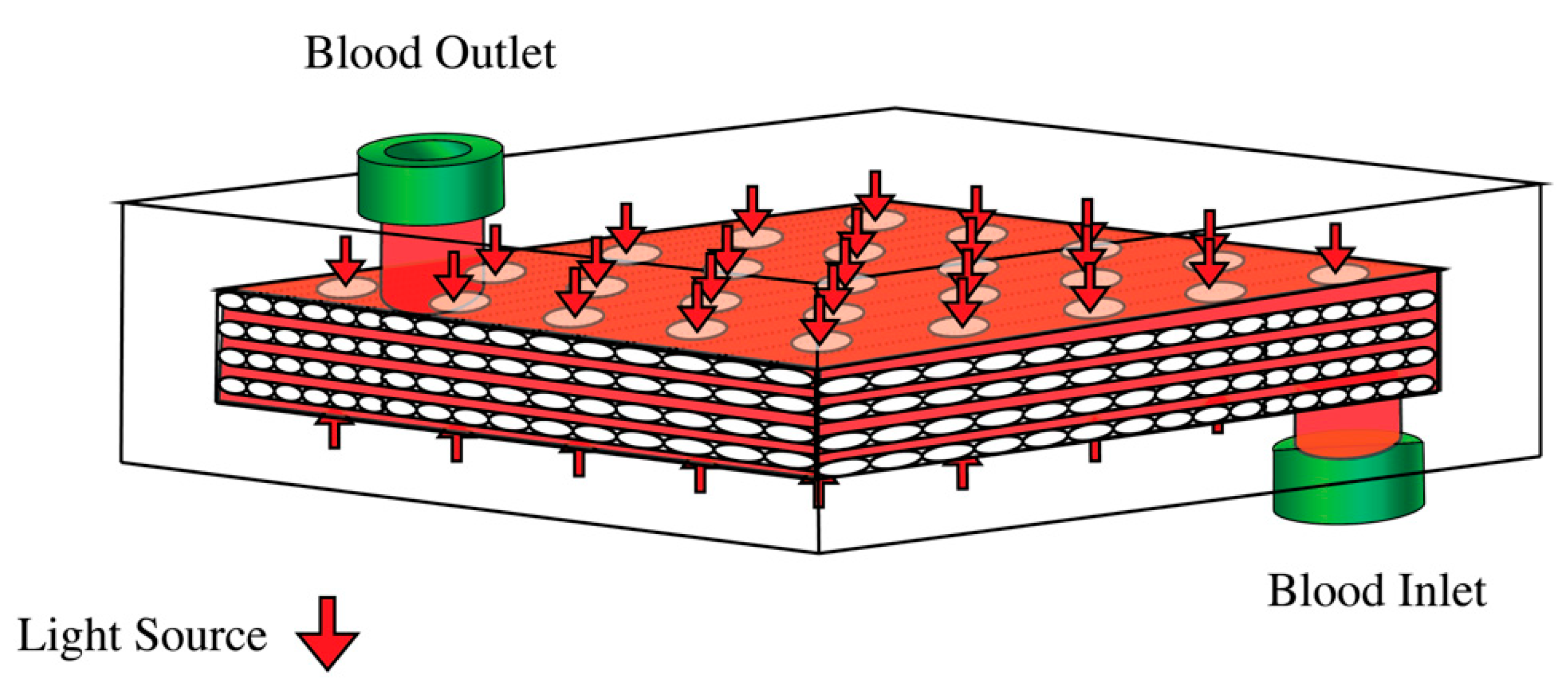 Bioengineering 10 00969 g001