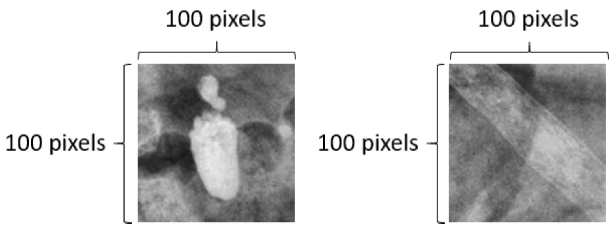 Bioengineering 10 00970 g012