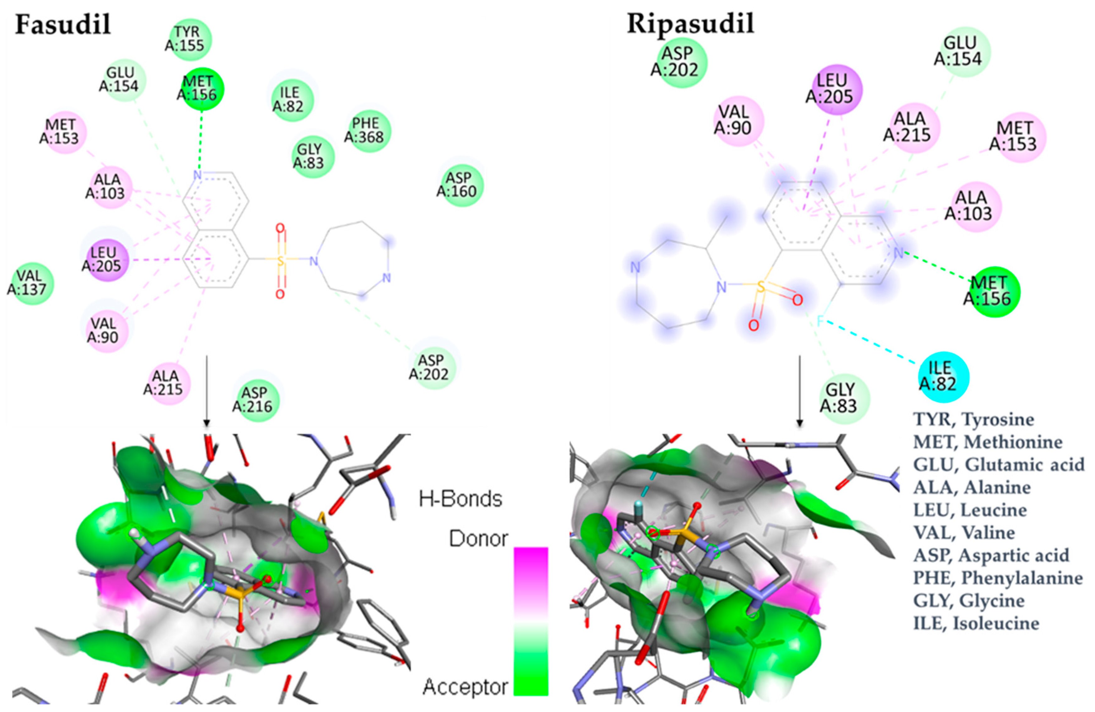 Bioengineering 10 00983 g002