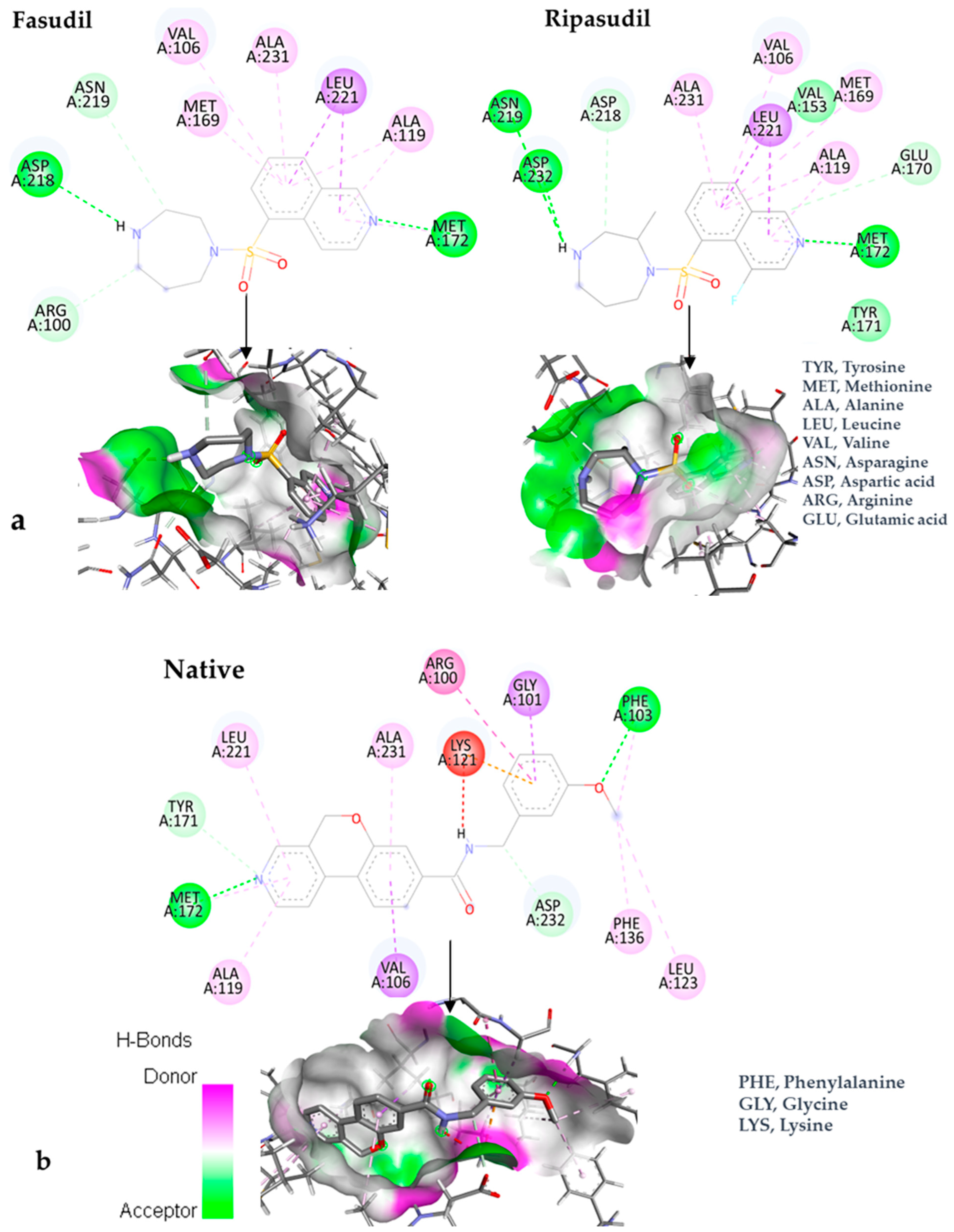 Bioengineering 10 00983 g004