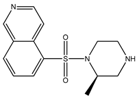 Bioengineering 10 00983 i004