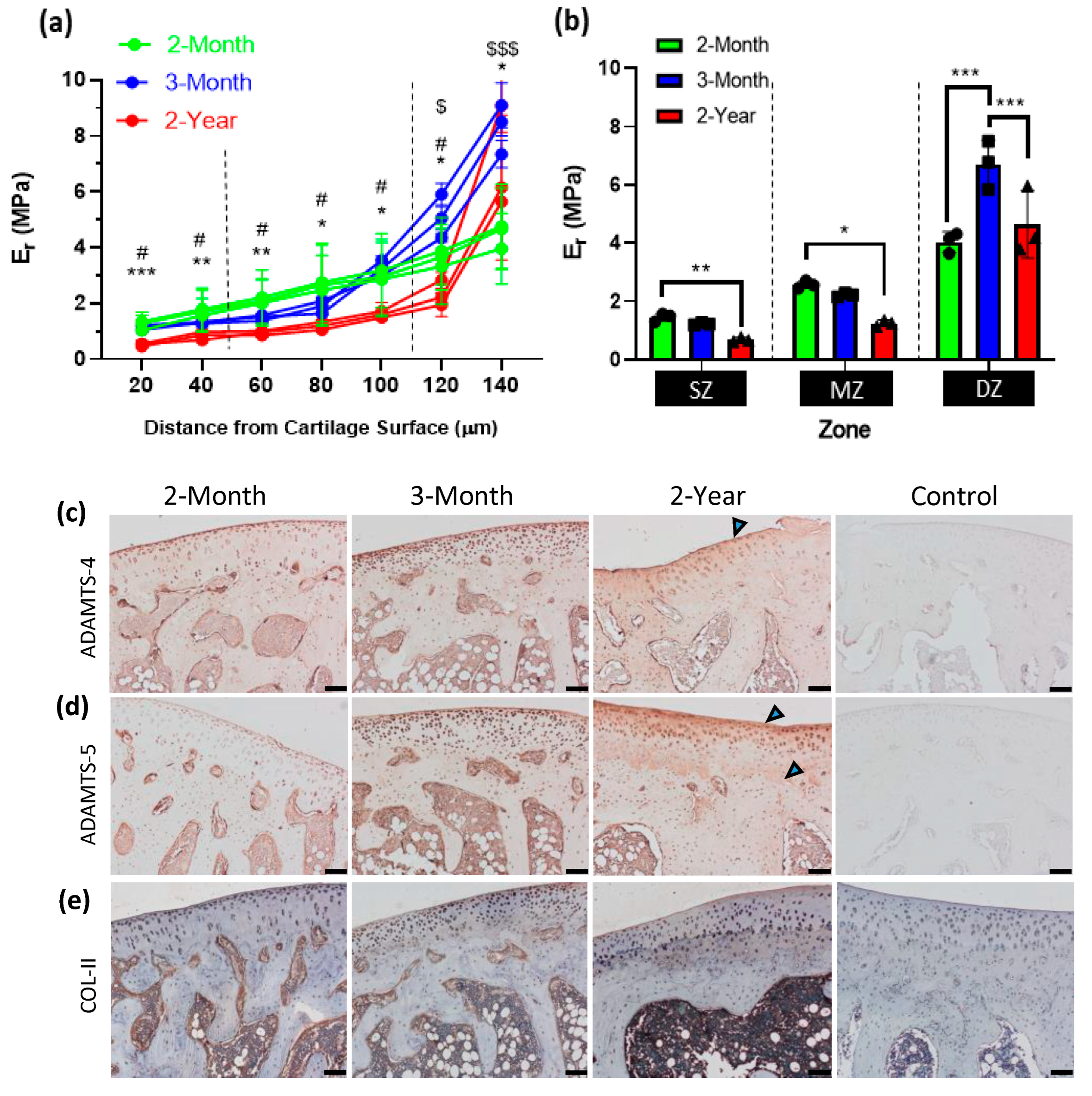 Bioengineering 10 00995 g003