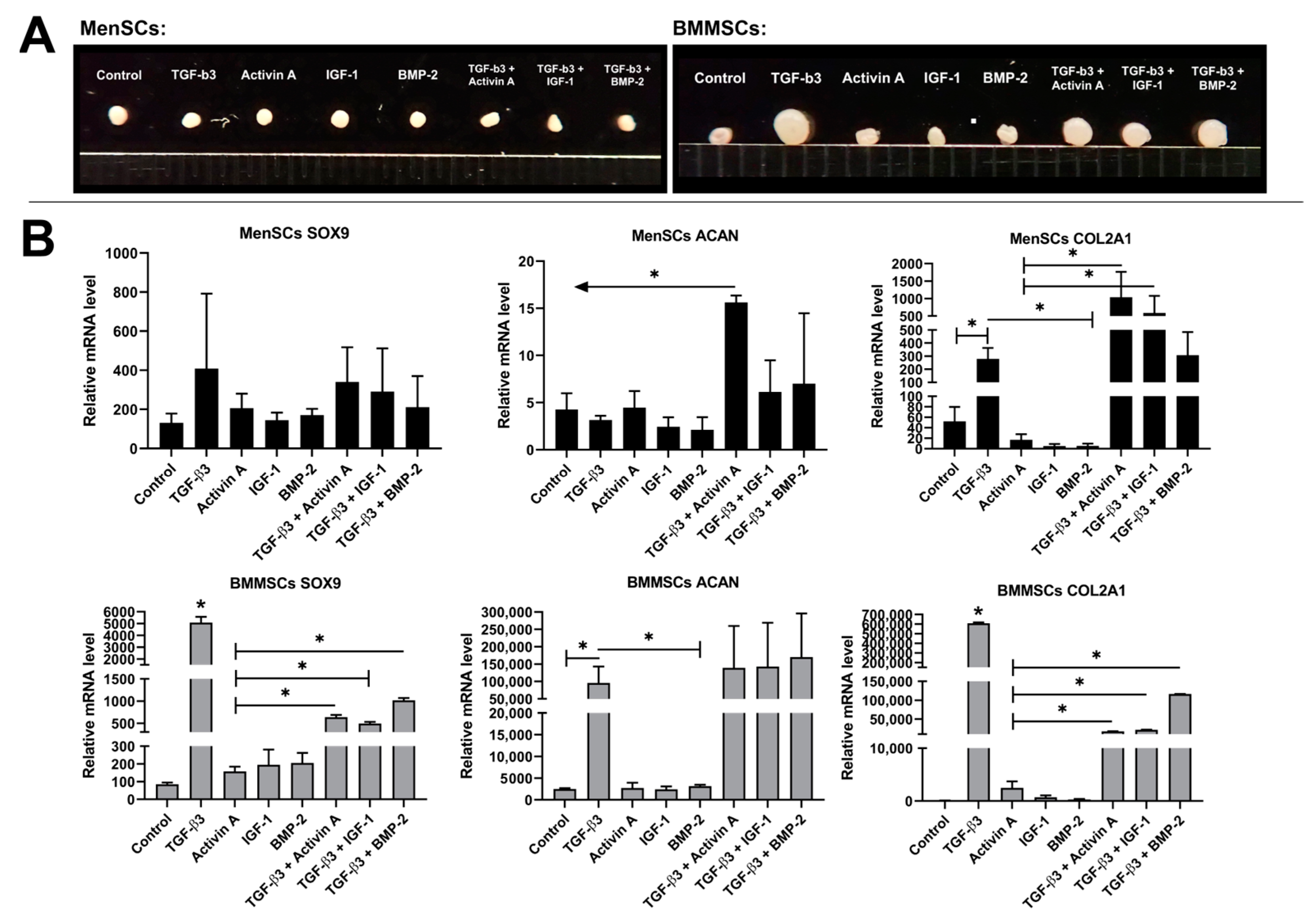 Bioengineering 10 01001 g001 Bioengineering 10 01001 g001