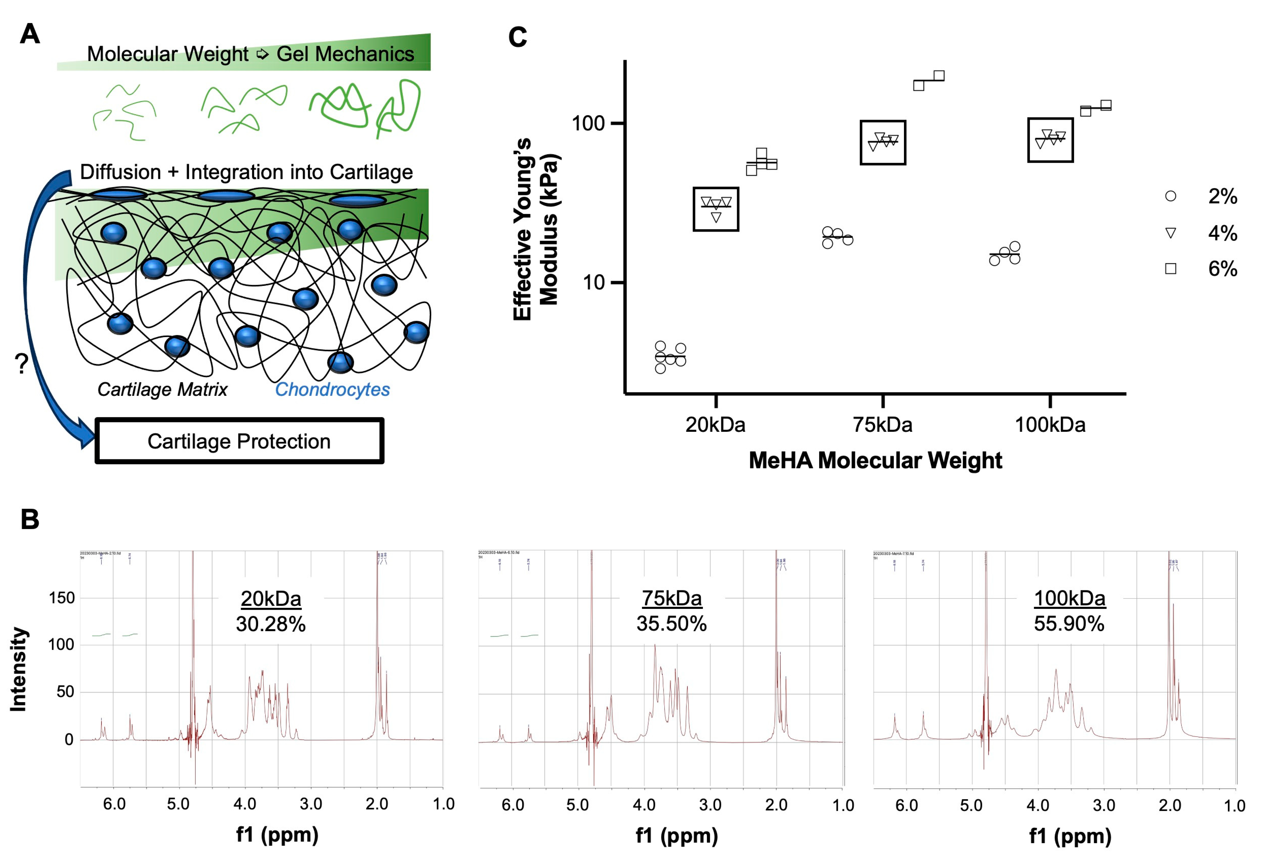 Bioengineering 10 01013 g001