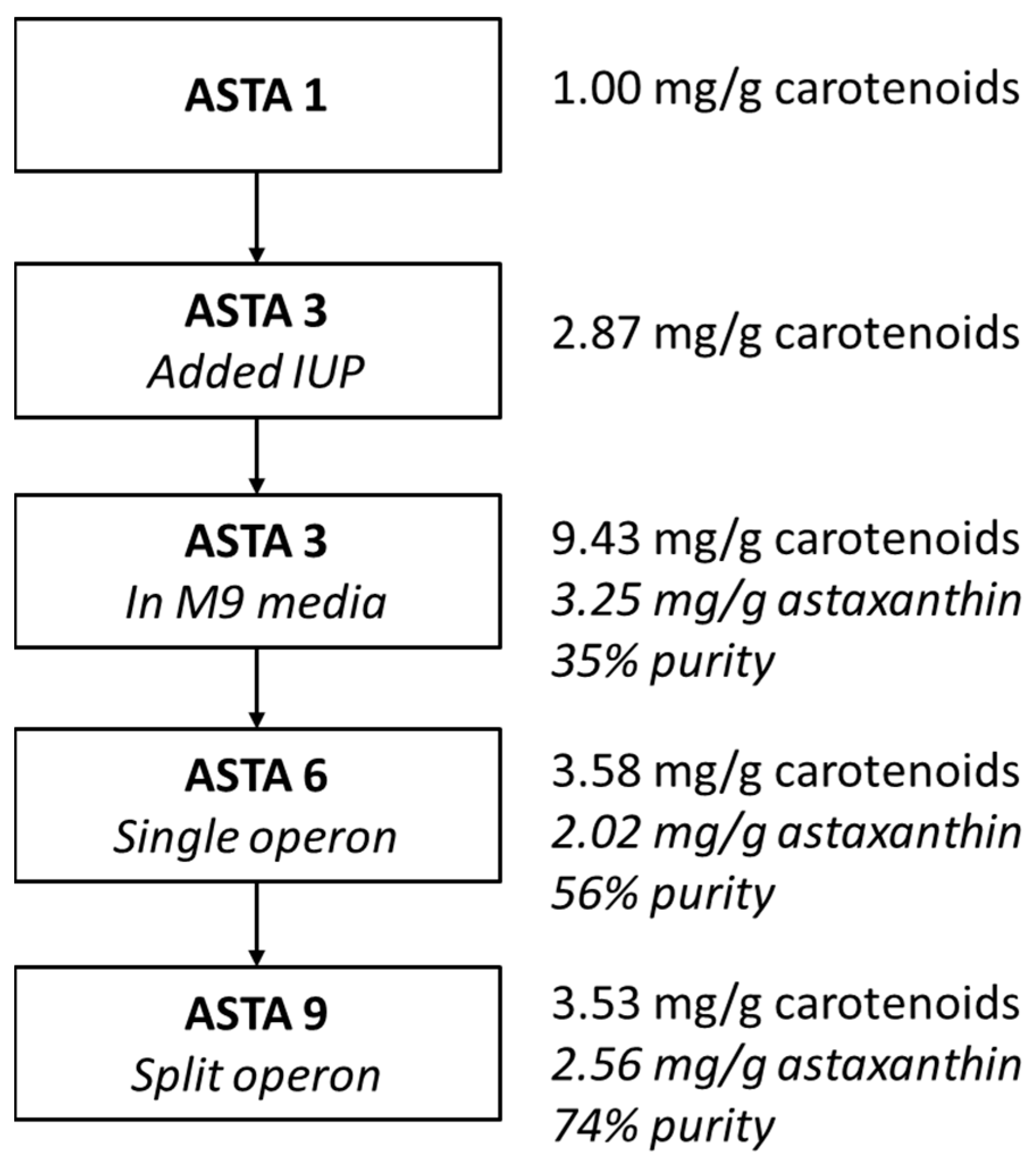 Bioengineering 10 01033 g007