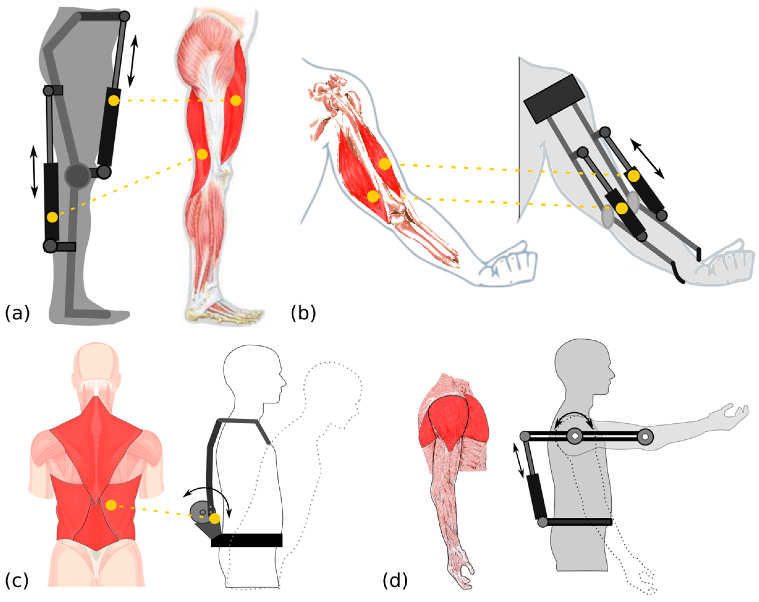 Bioengineering 10 01039 g002
