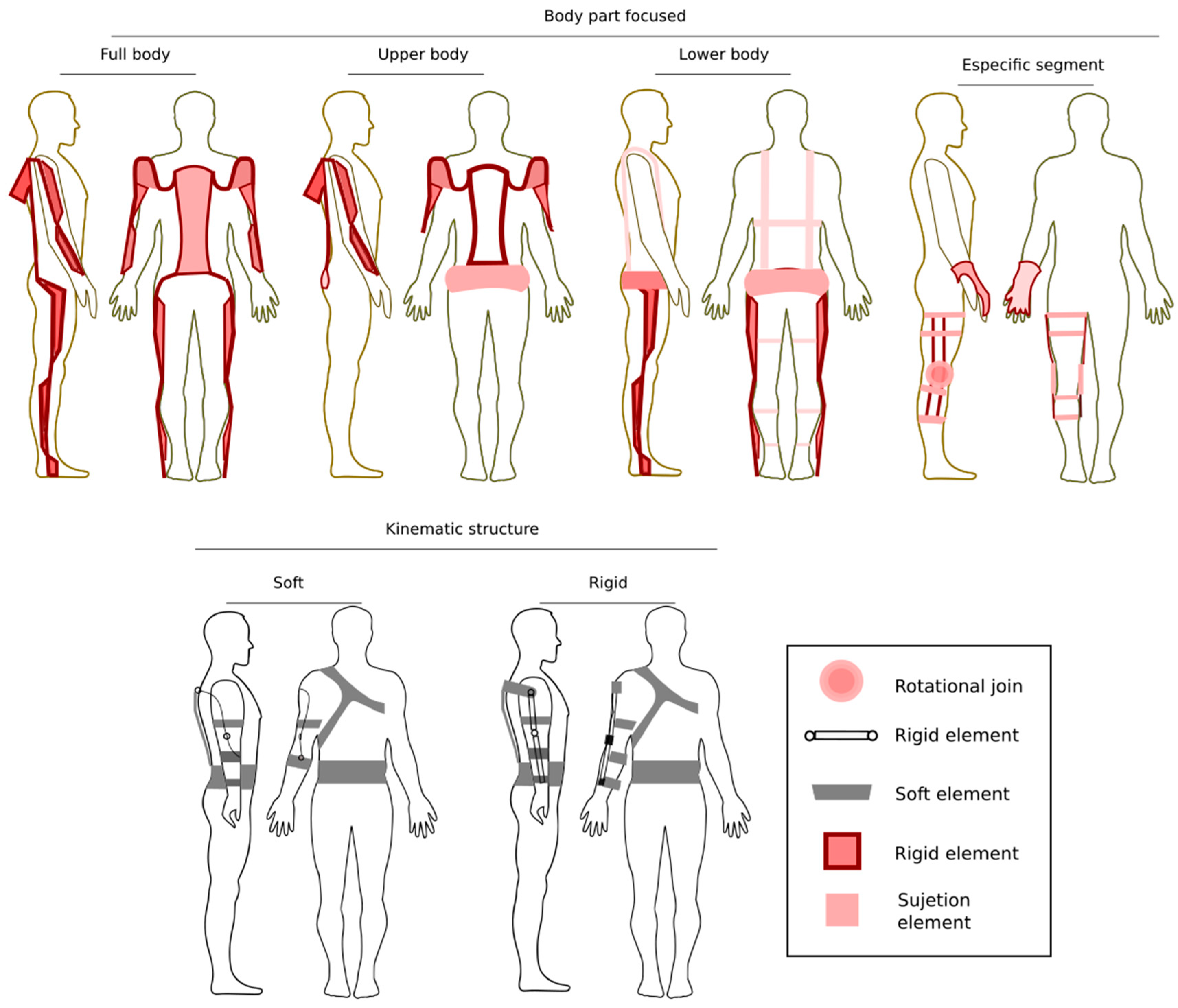 Bioengineering 10 01039 g005