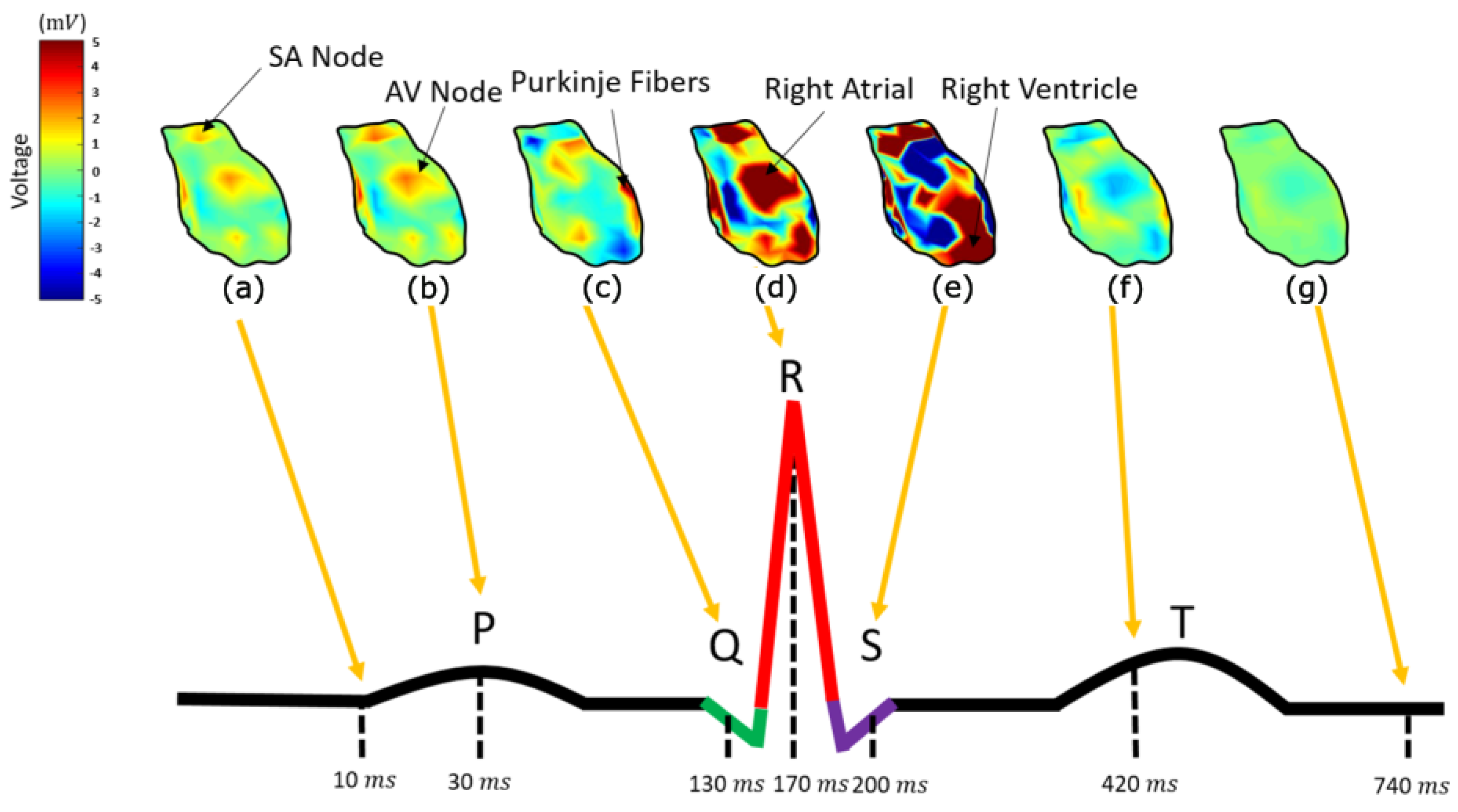 Bioengineering 10 01063 g008