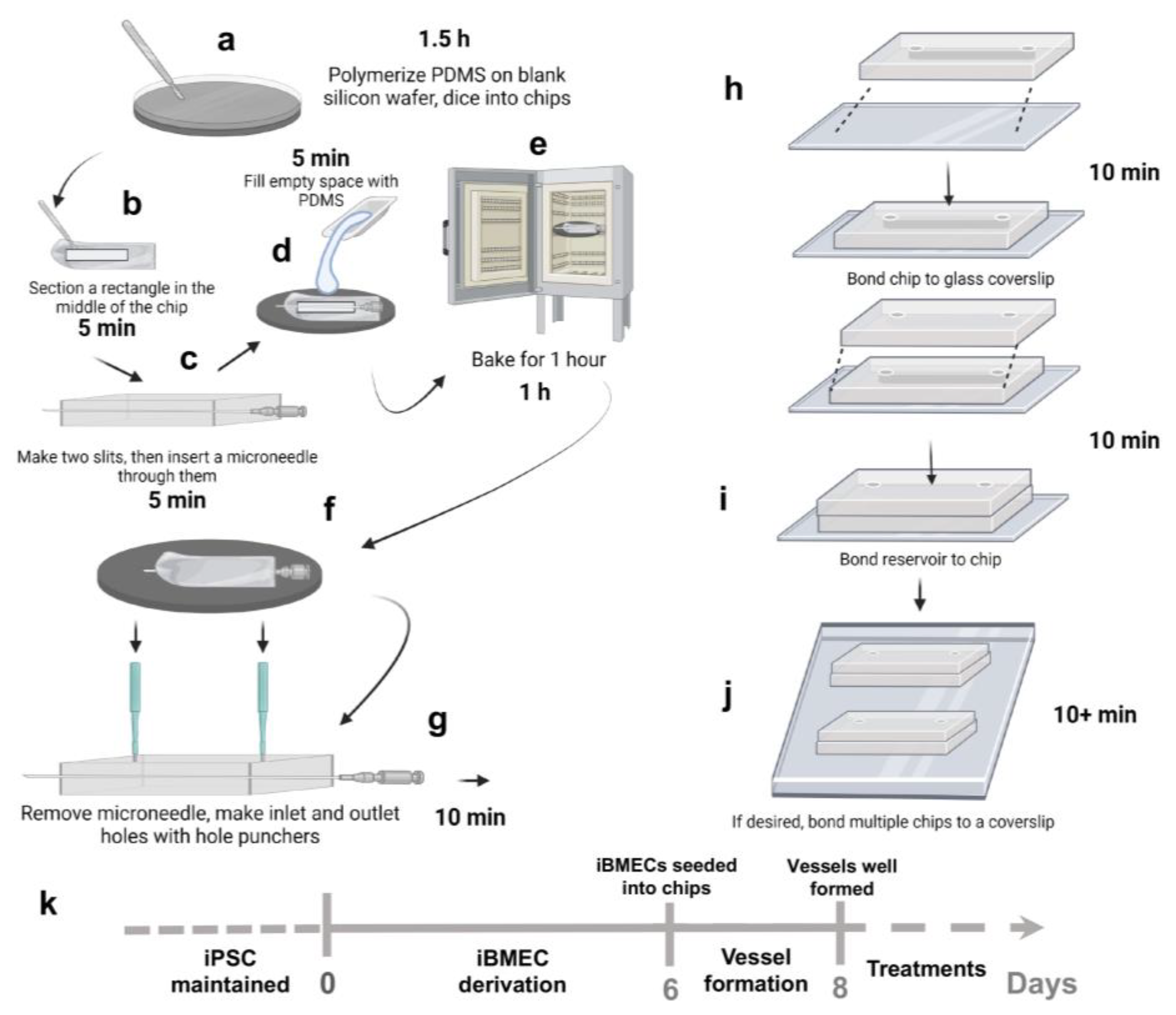 Bioengineering 10 01080 g001