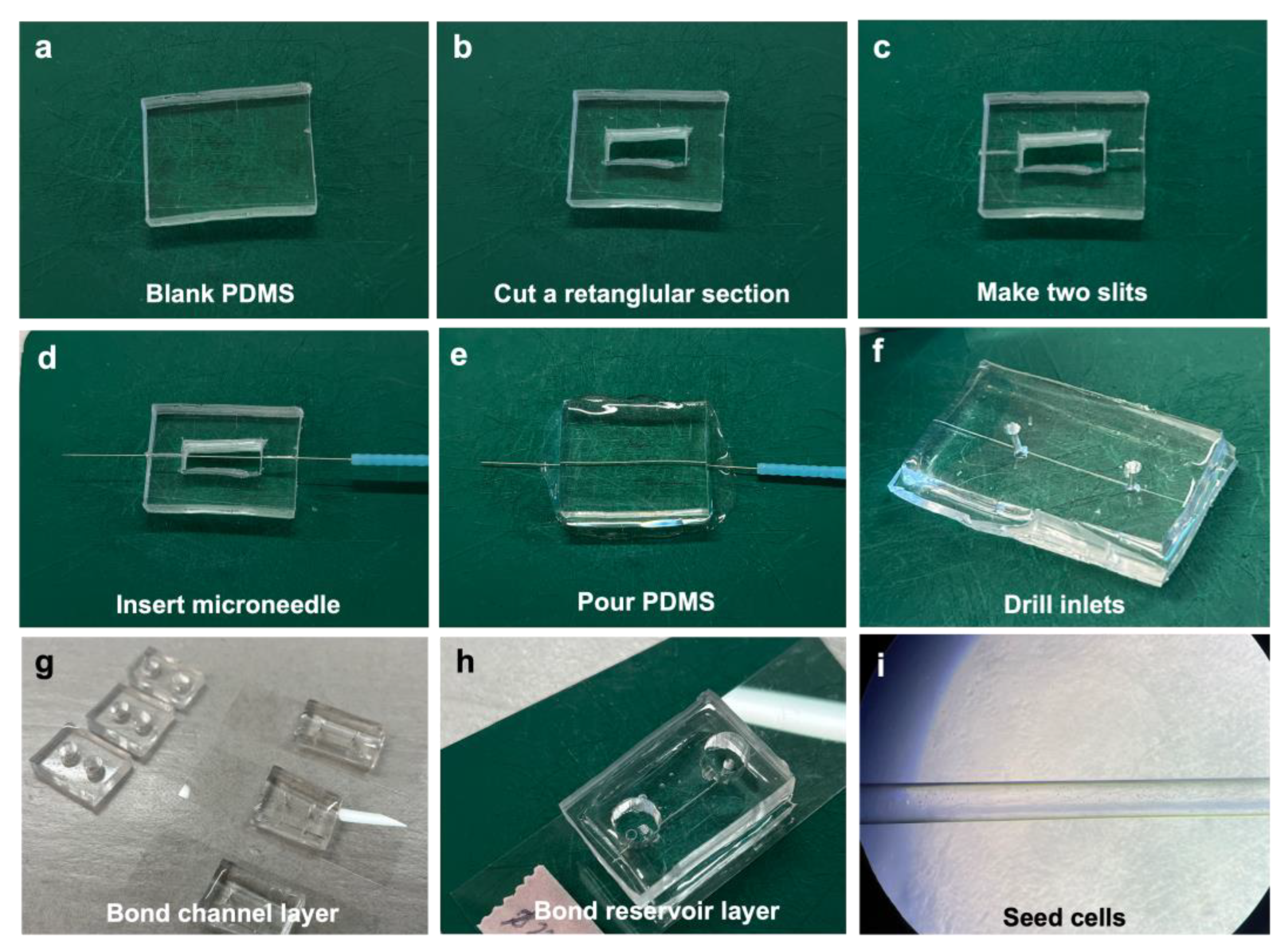 Bioengineering 10 01080 g002