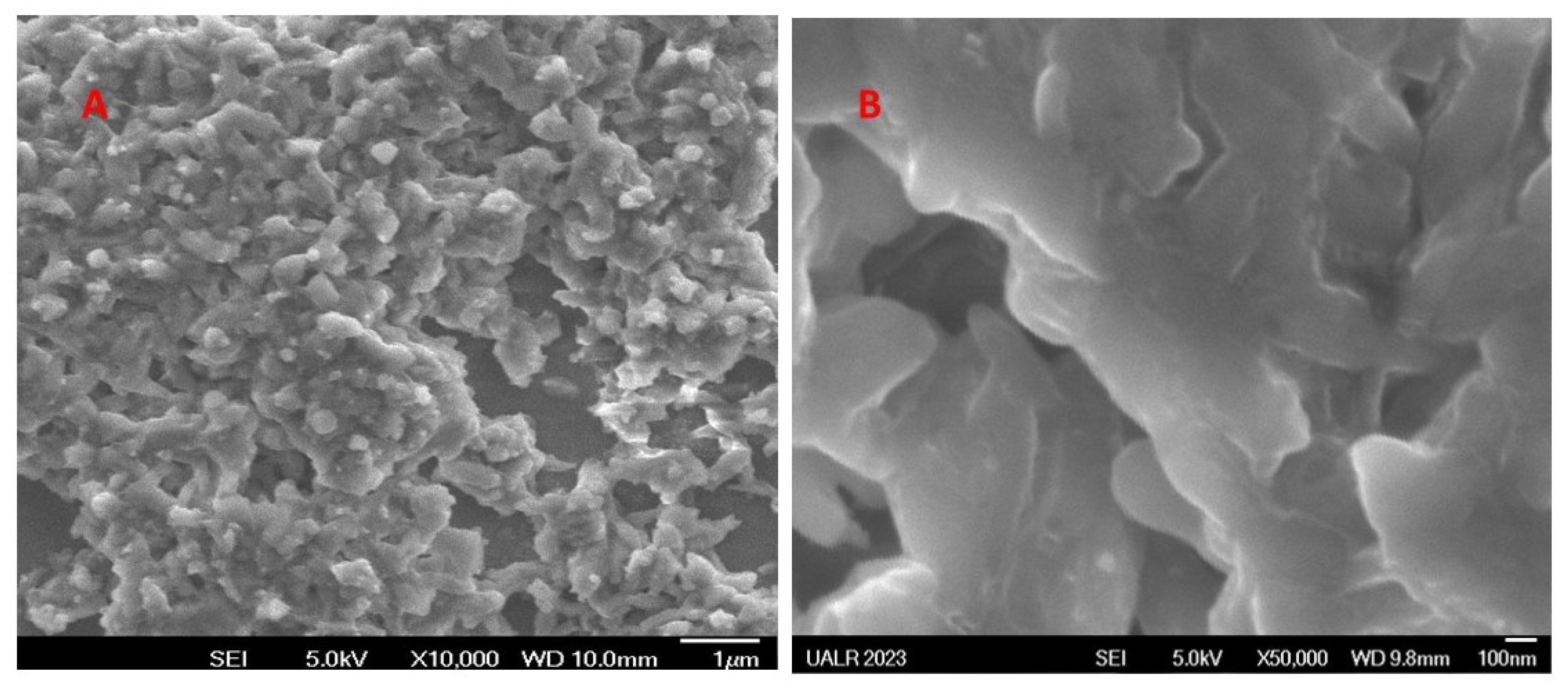 Bioengineering 10 01088 g009