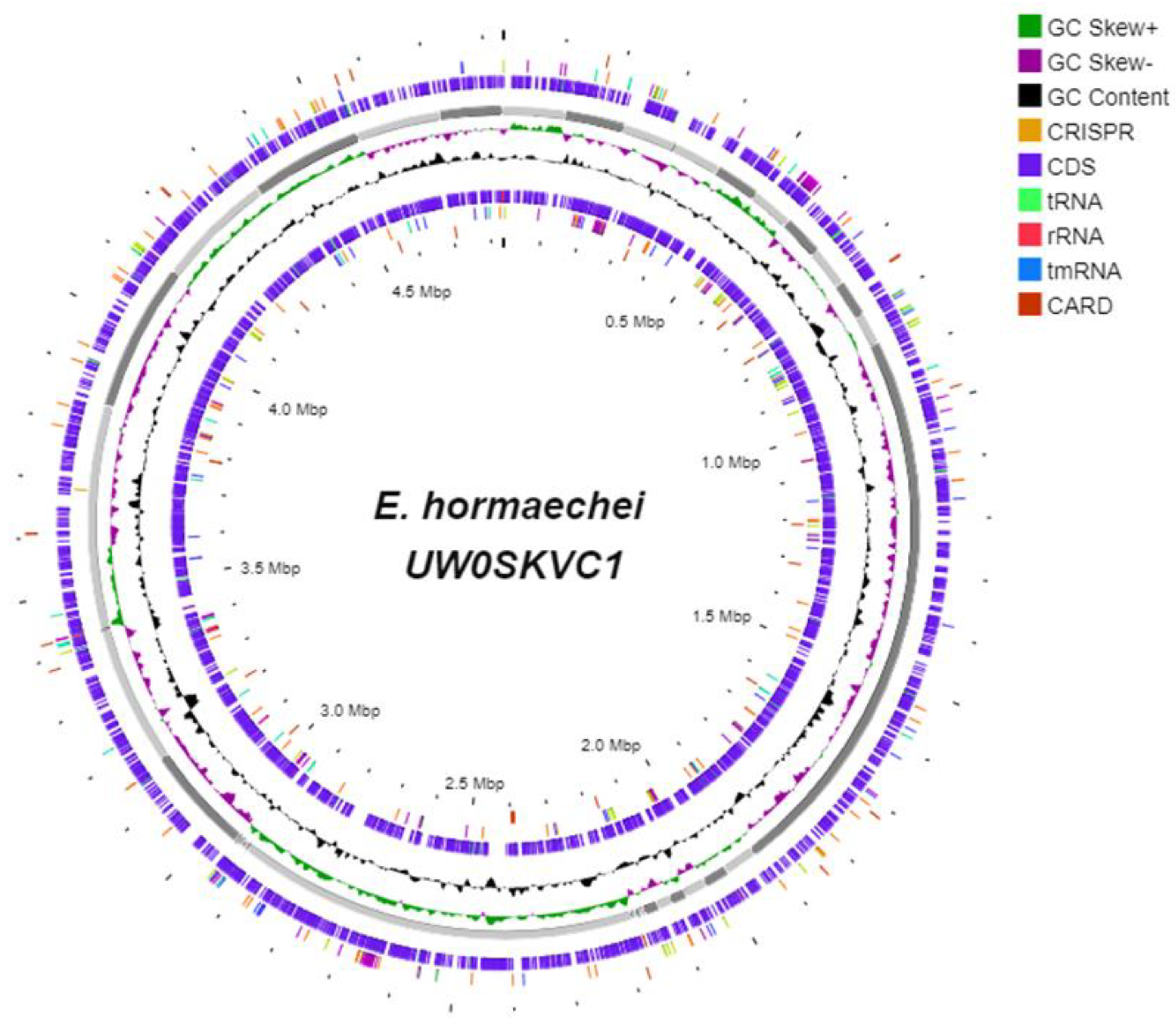 Bioengineering 10 01090 g006 Bioengineering 10 01090 g006